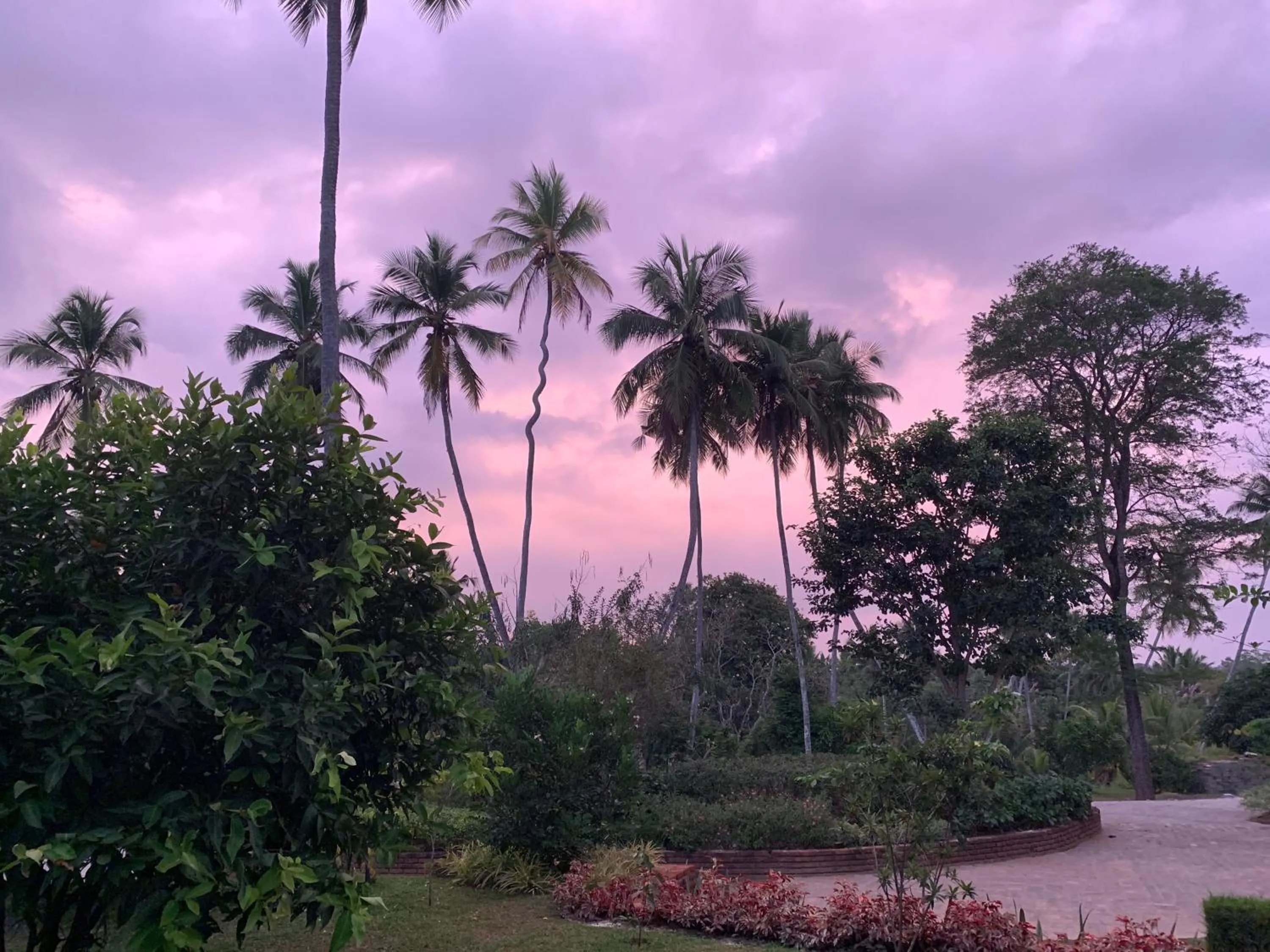 Garden view in Anodawa Boutique Villa