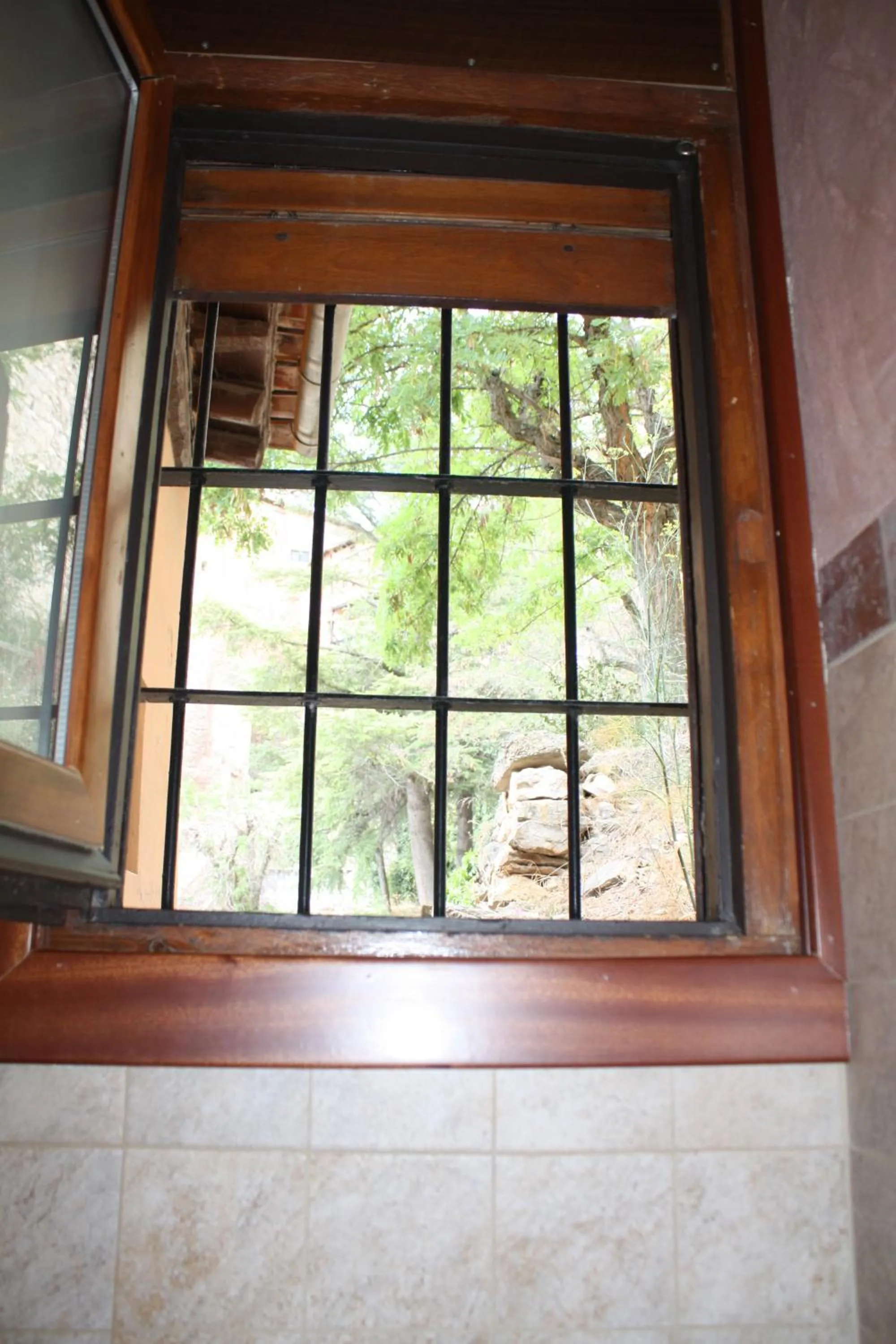 Day in Hotel Mesón del Gallo