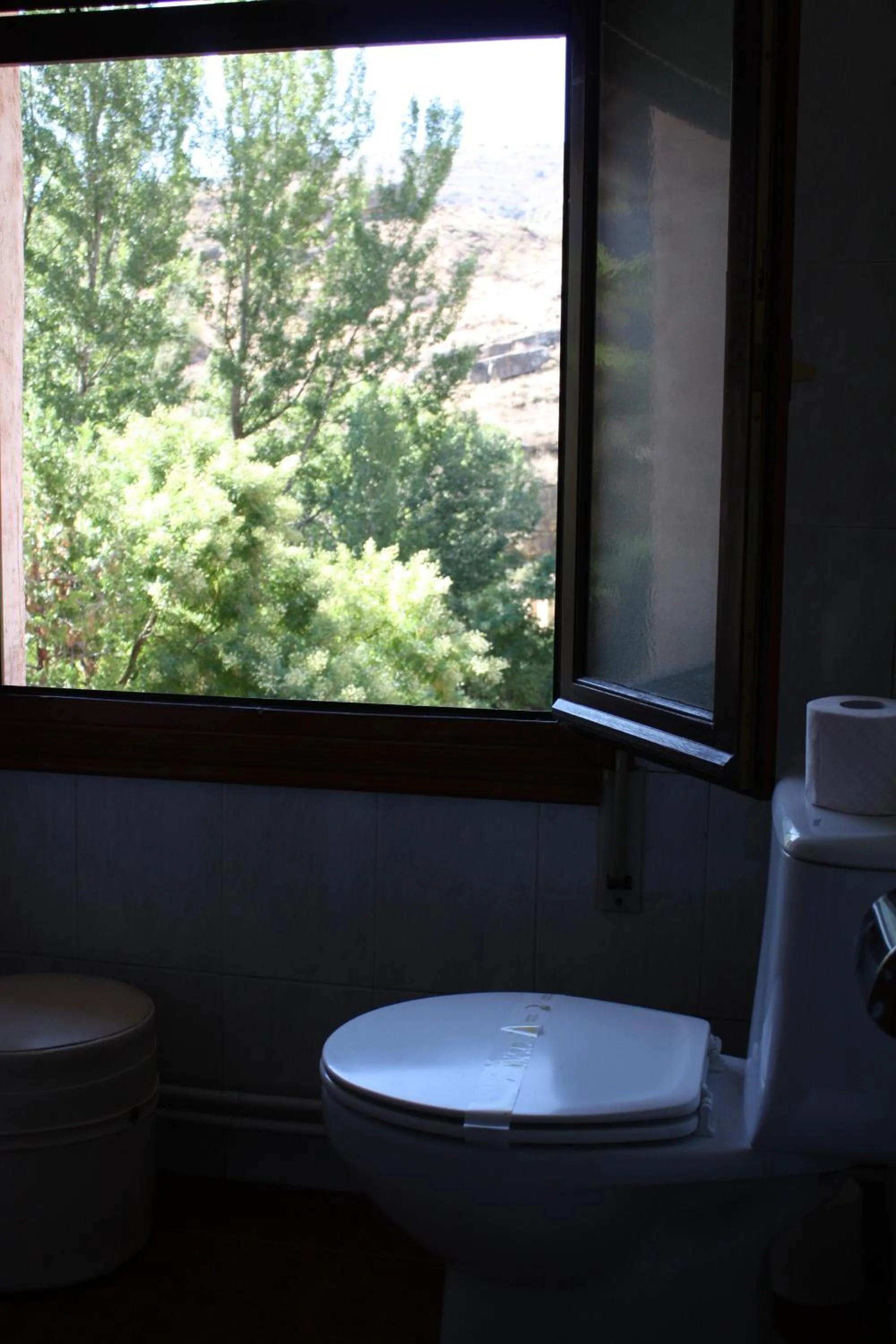 Toilet in Hotel Mesón del Gallo