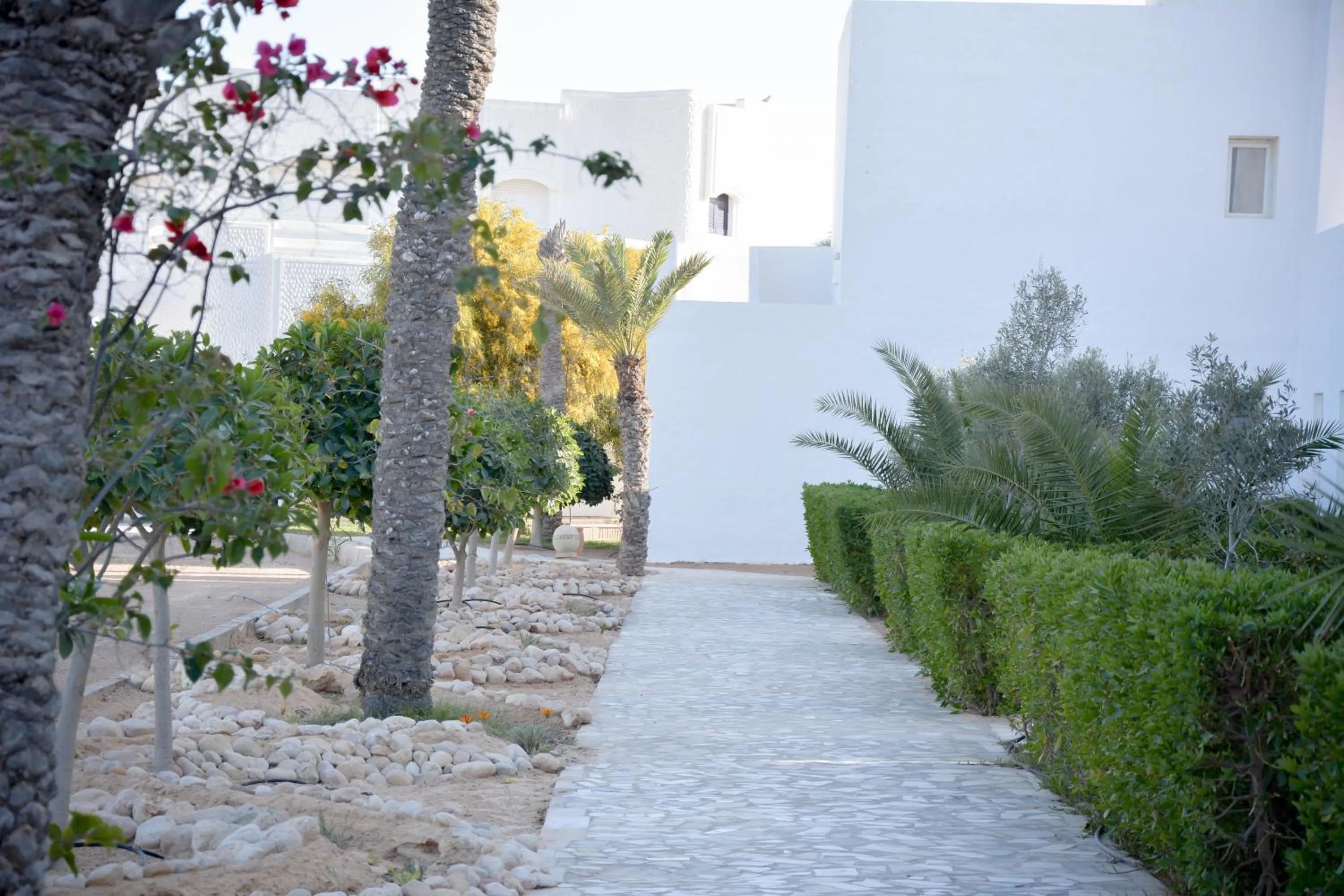 Garden in Les Jardins de Toumana