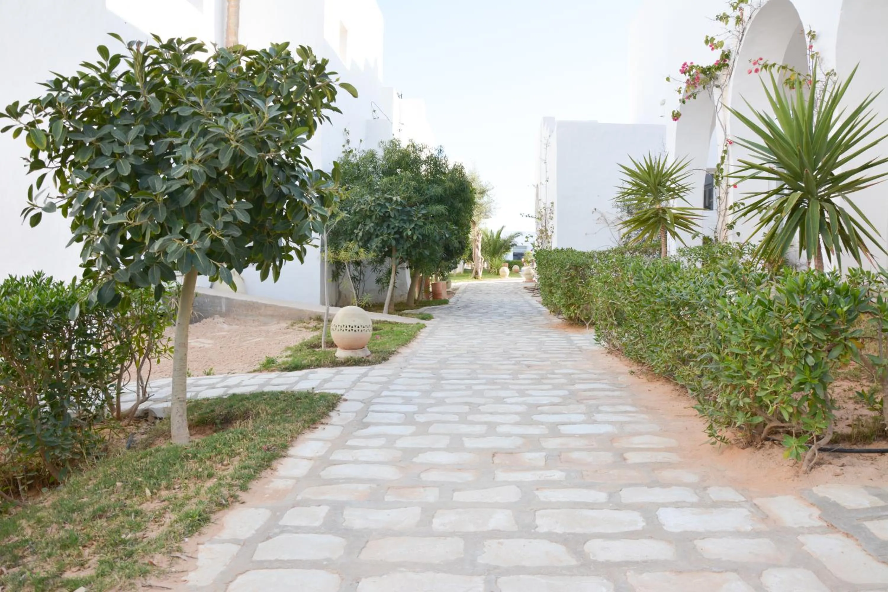 Garden in Les Jardins de Toumana