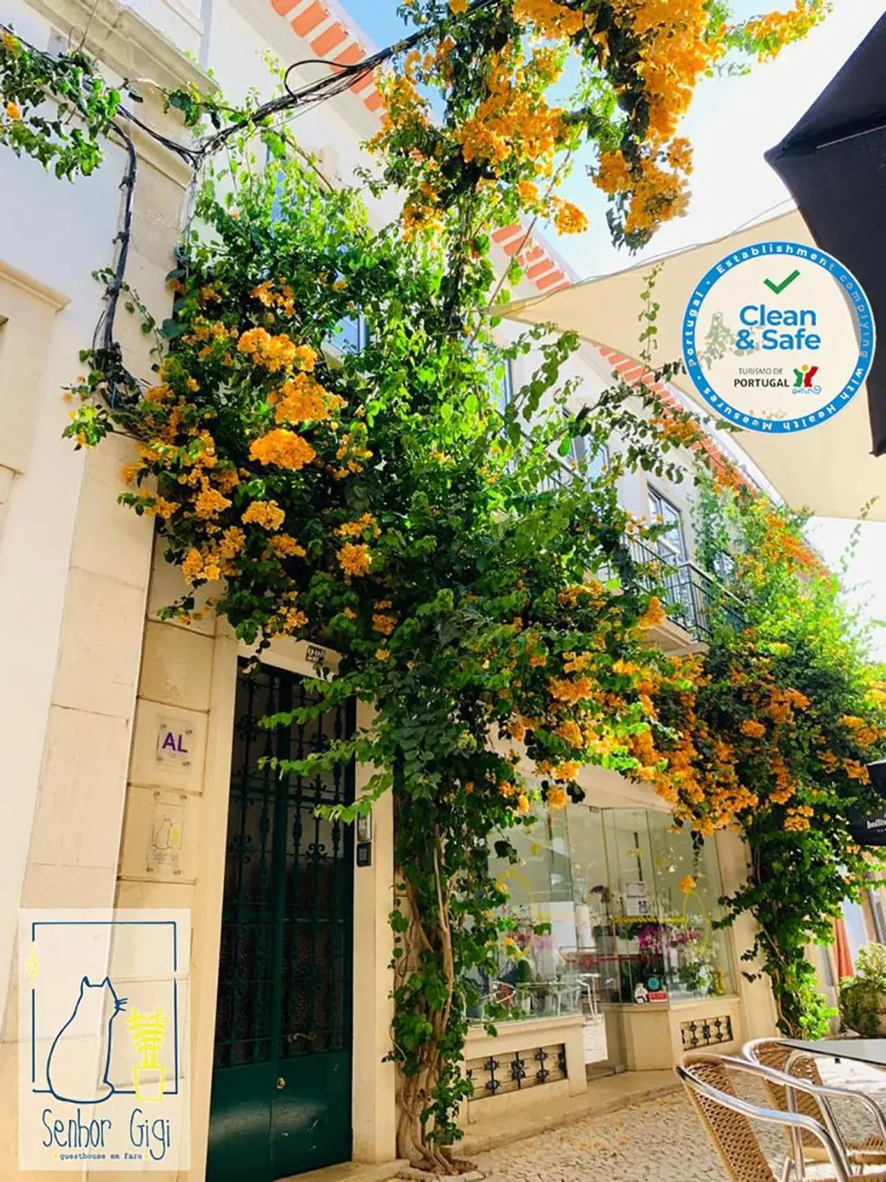 Senhor Gigi Senhor Gigi