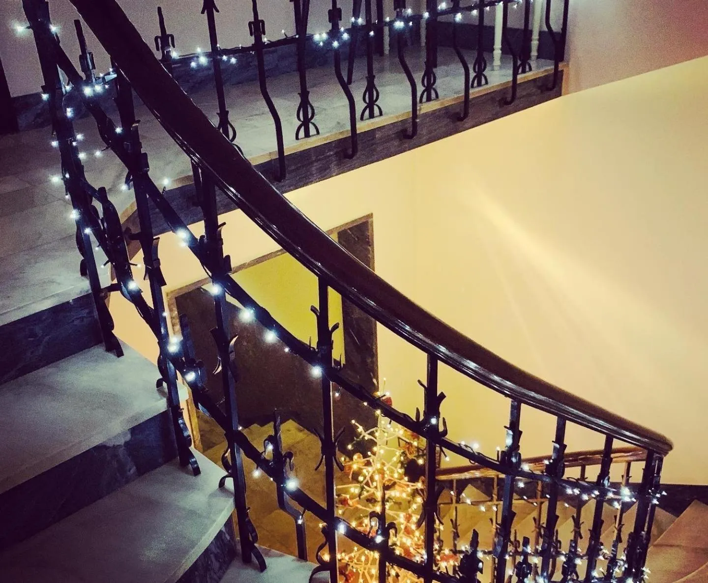 Facade/entrance in Senhor Gigi