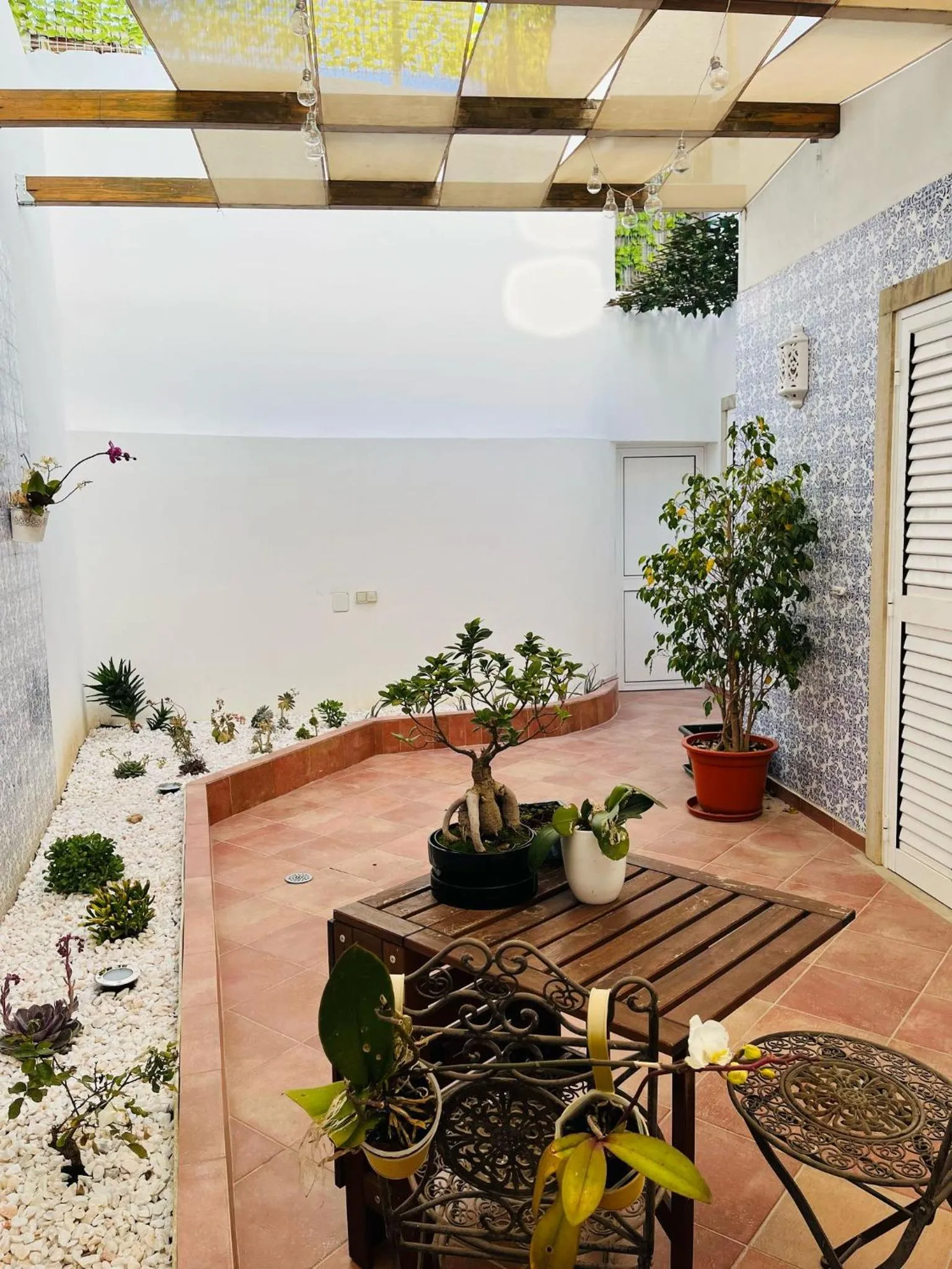 Garden in Senhor Gigi