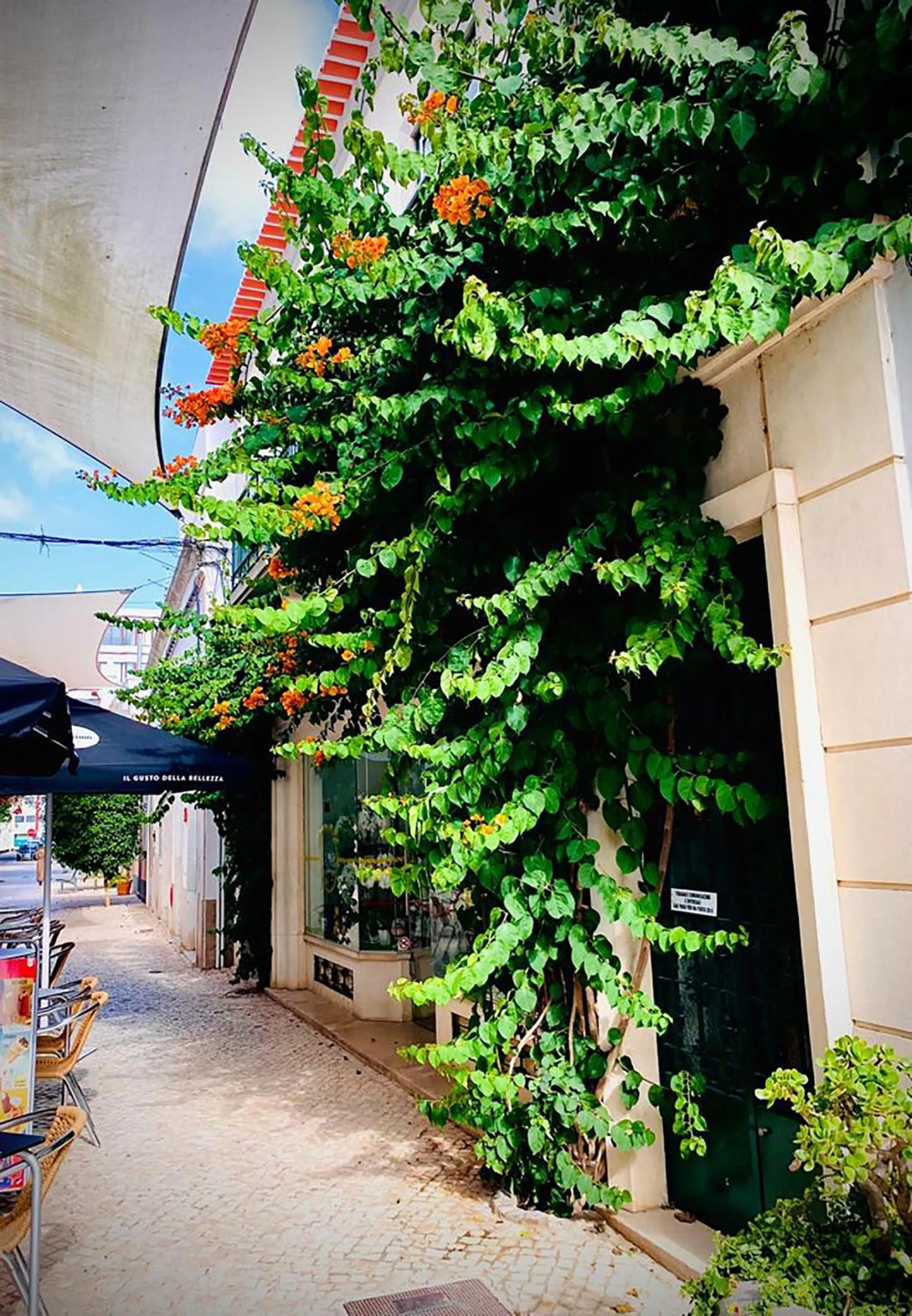 Property building in Senhor Gigi