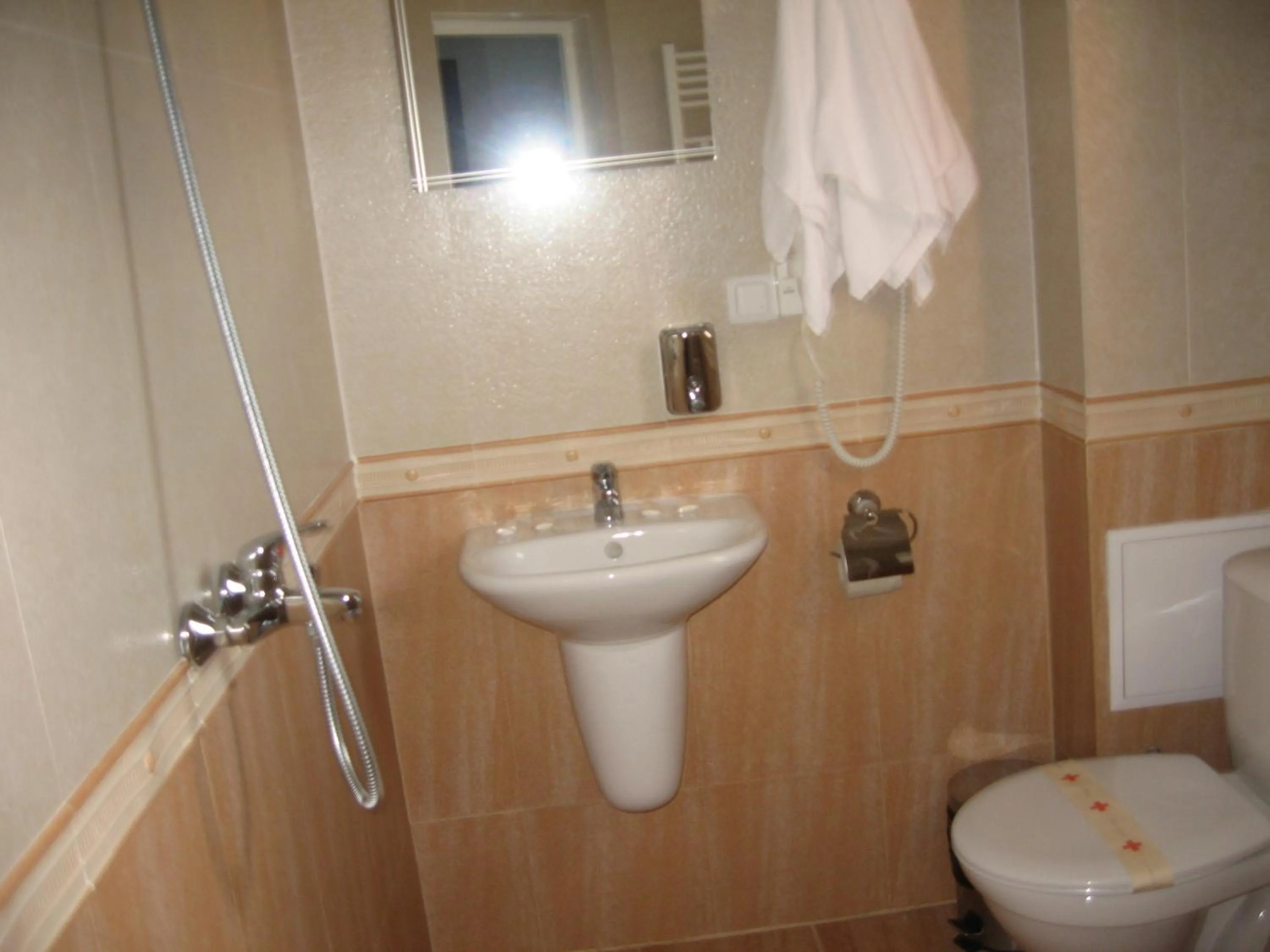 Other in Family Hotel Miglena