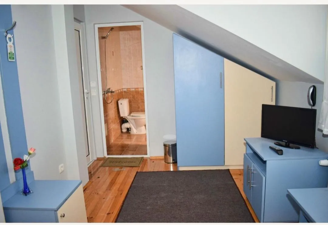 TV and multimedia in Family Hotel Miglena