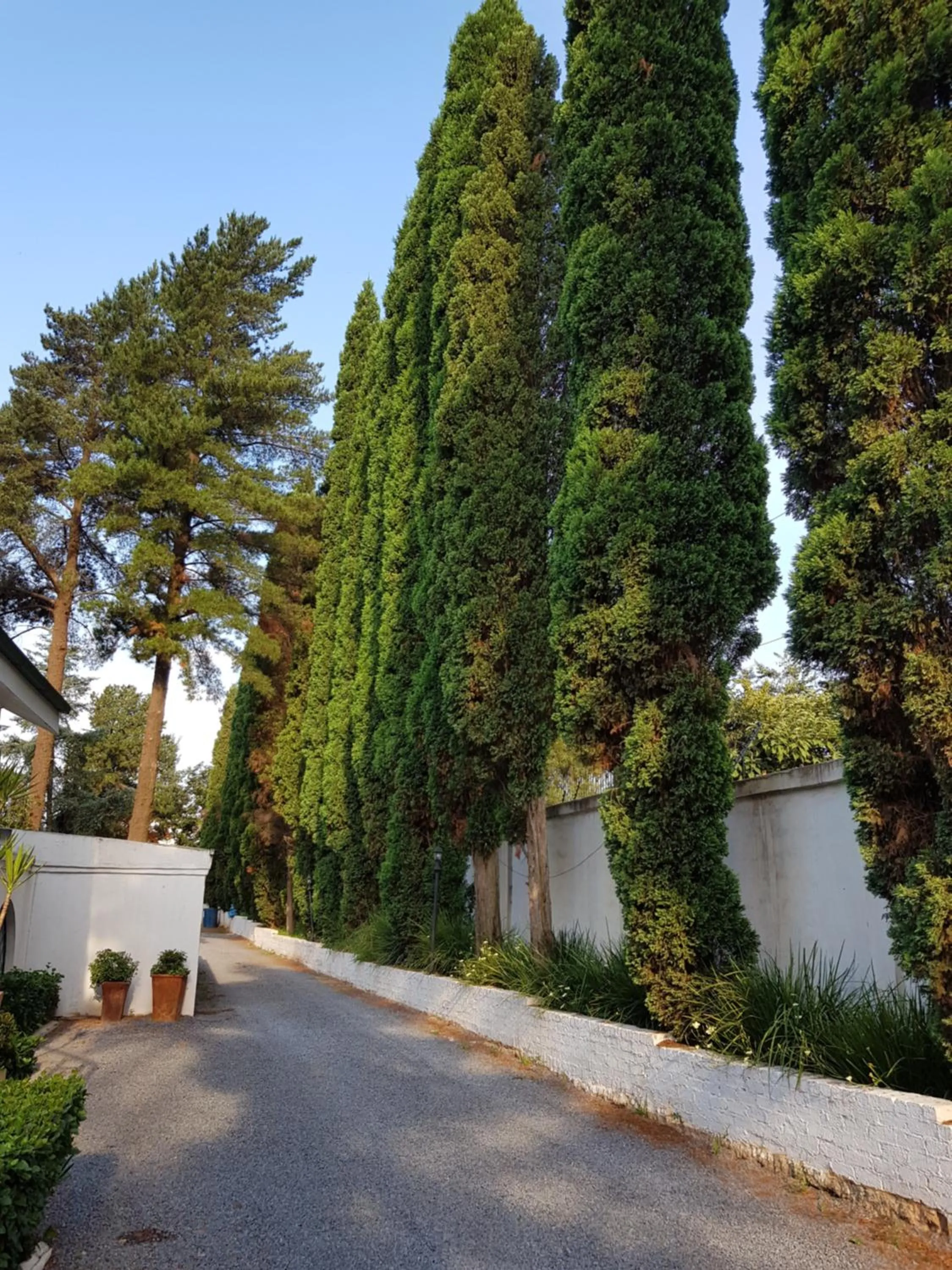 Property building in Pheasant Hill Bed and Breakfast