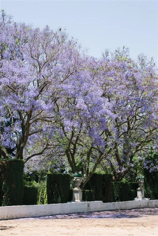 Garden in Pheasant Hill Bed and Breakfast