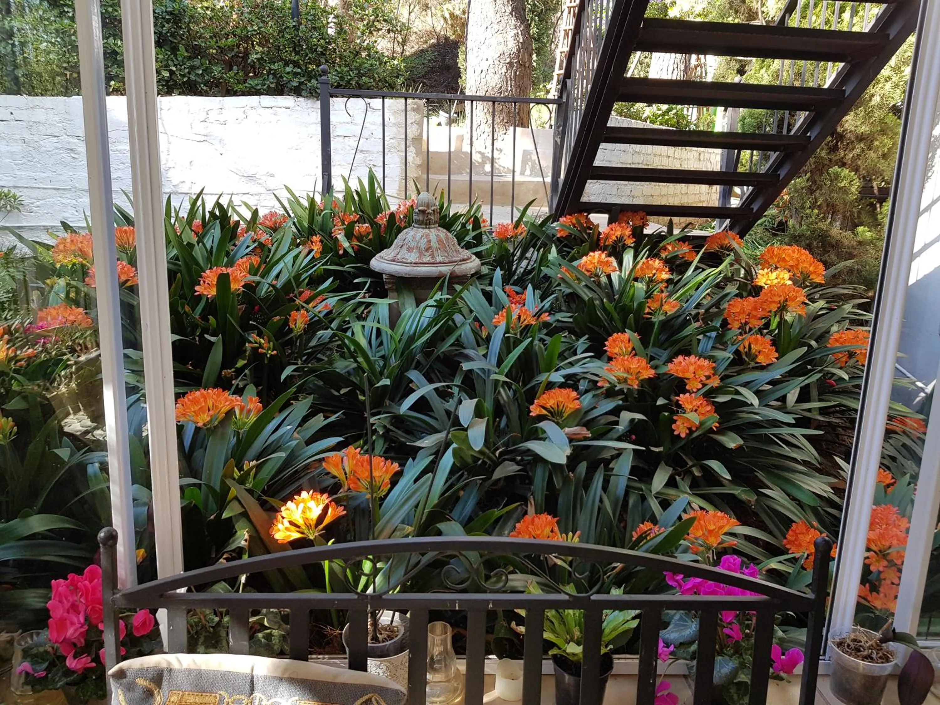 Garden in Pheasant Hill Bed and Breakfast