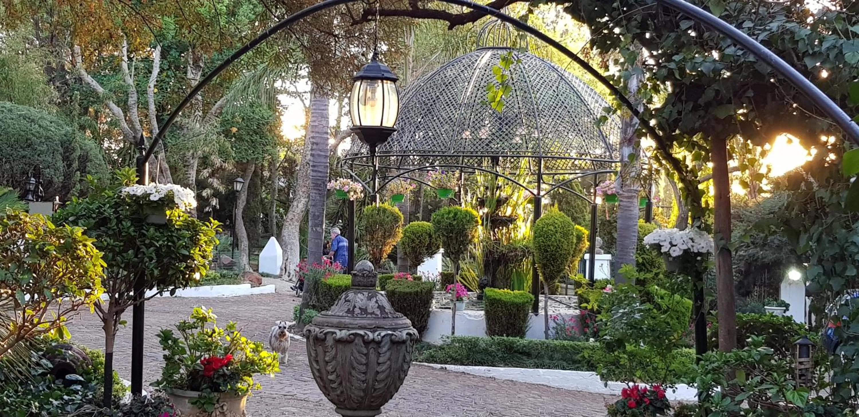 Garden in Pheasant Hill Bed and Breakfast