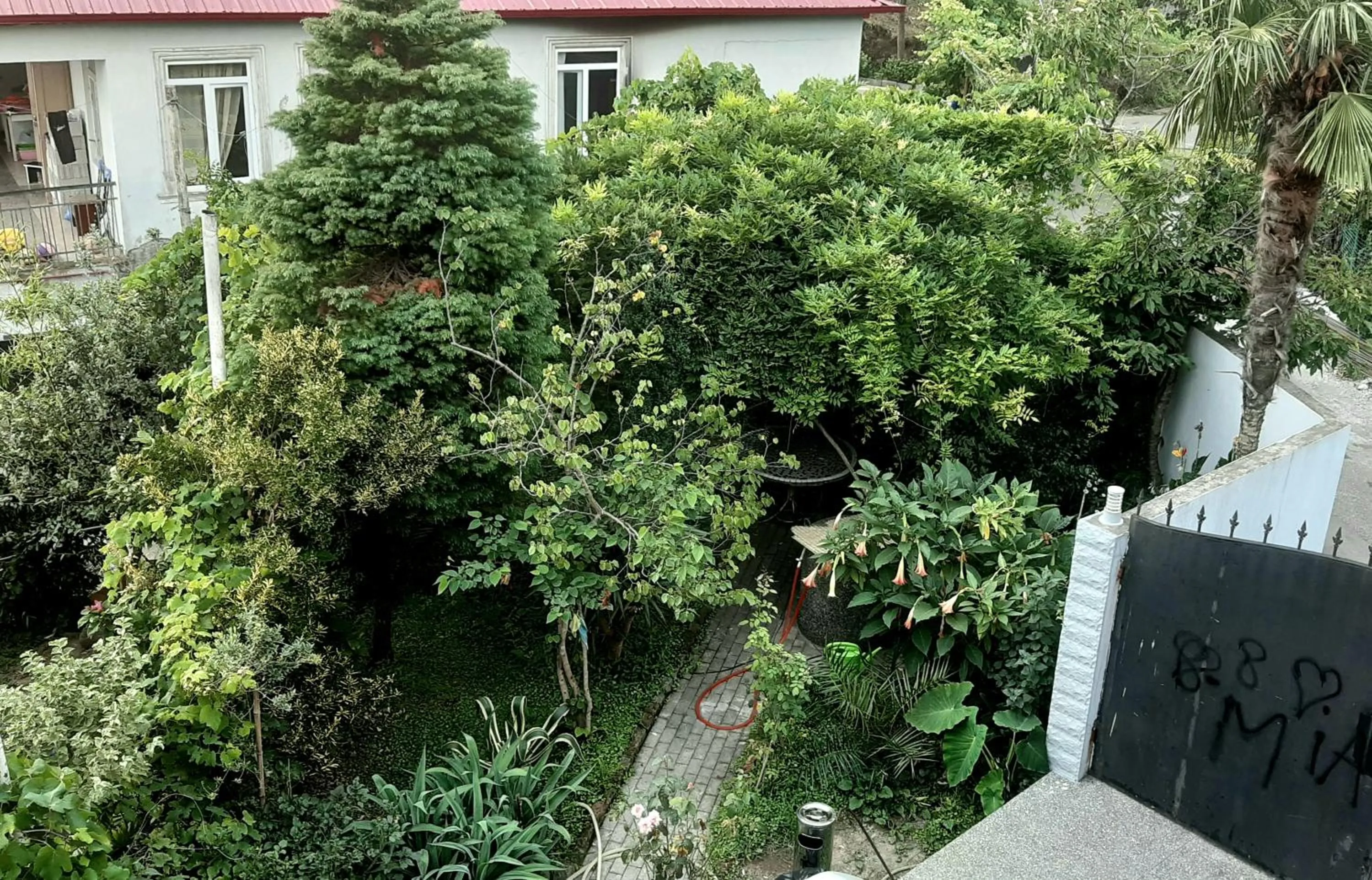 Garden view in TJ Guest House