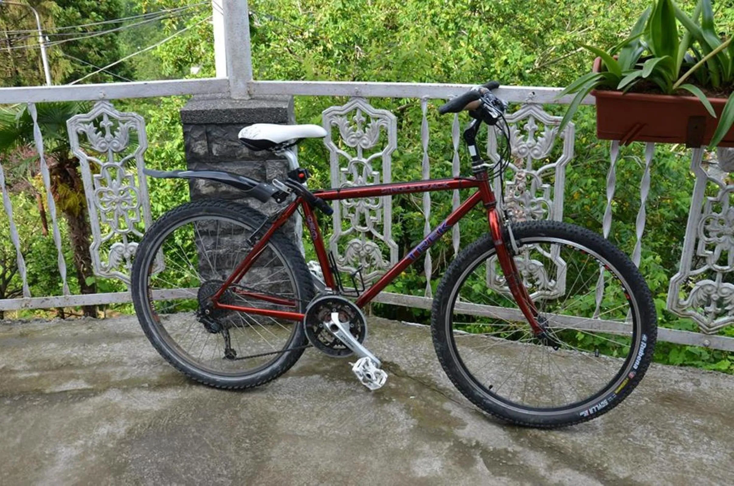 Cycling in TJ Guest House