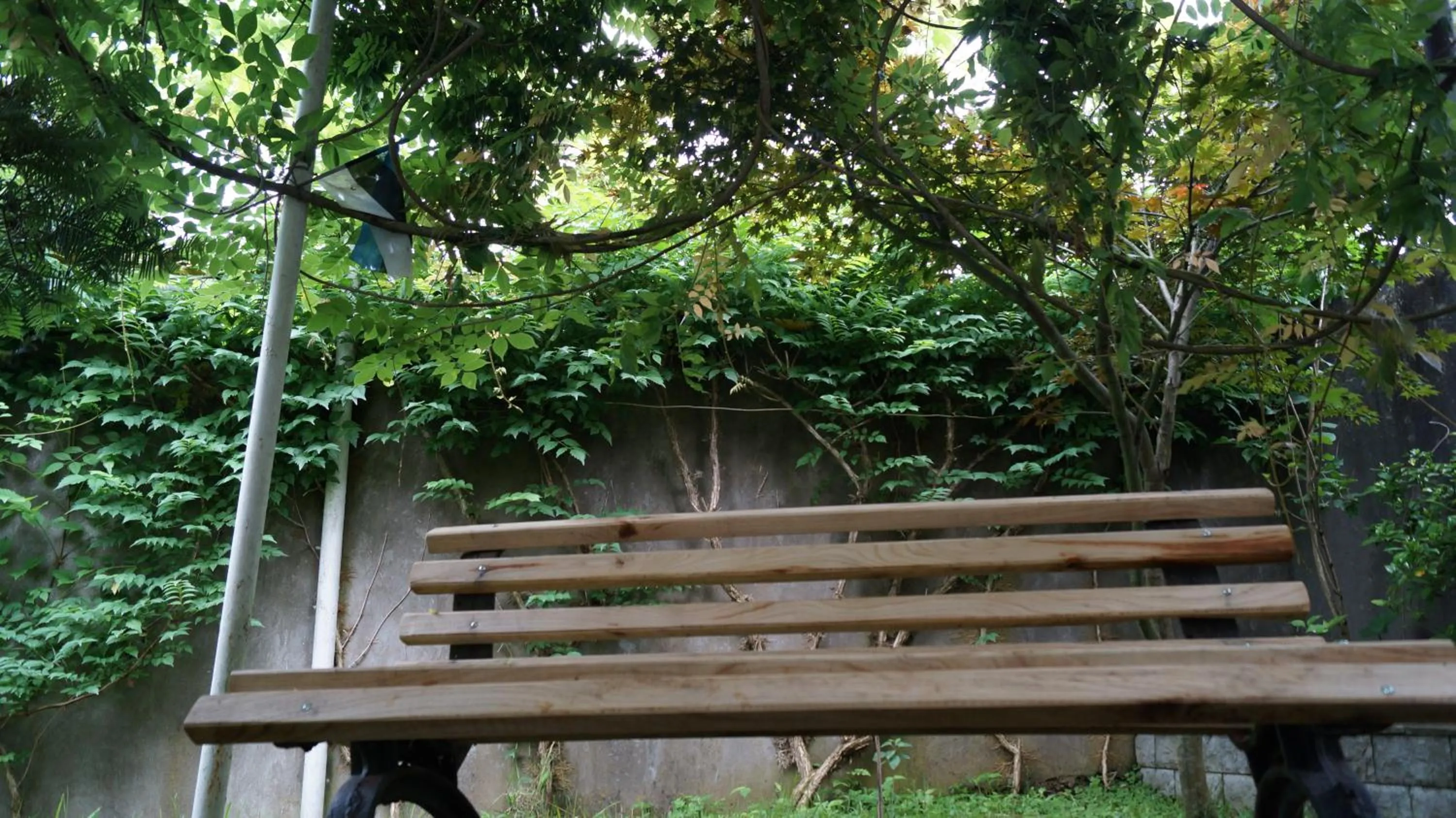 Patio in TJ Guest House