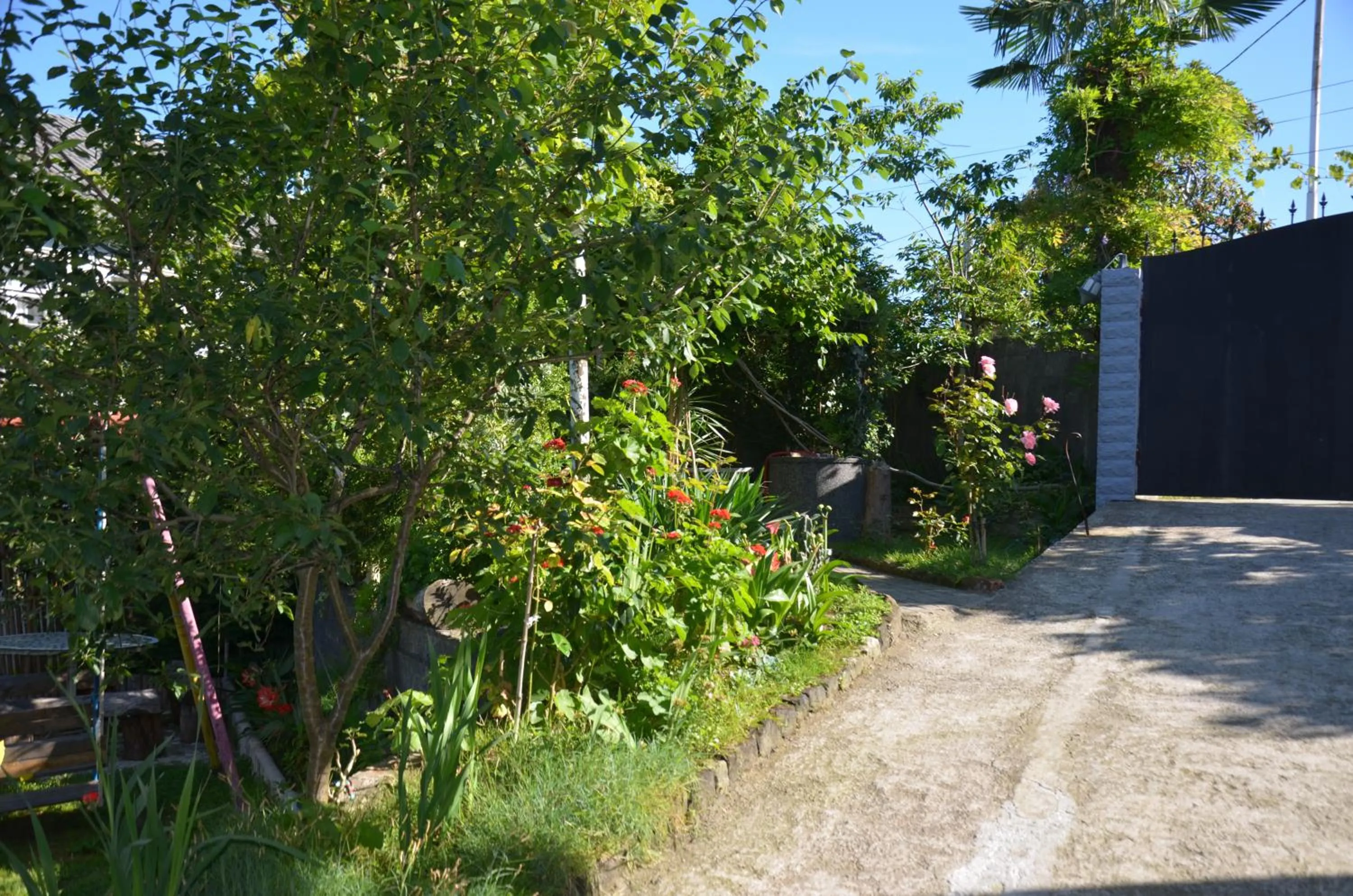 Garden in TJ Guest House