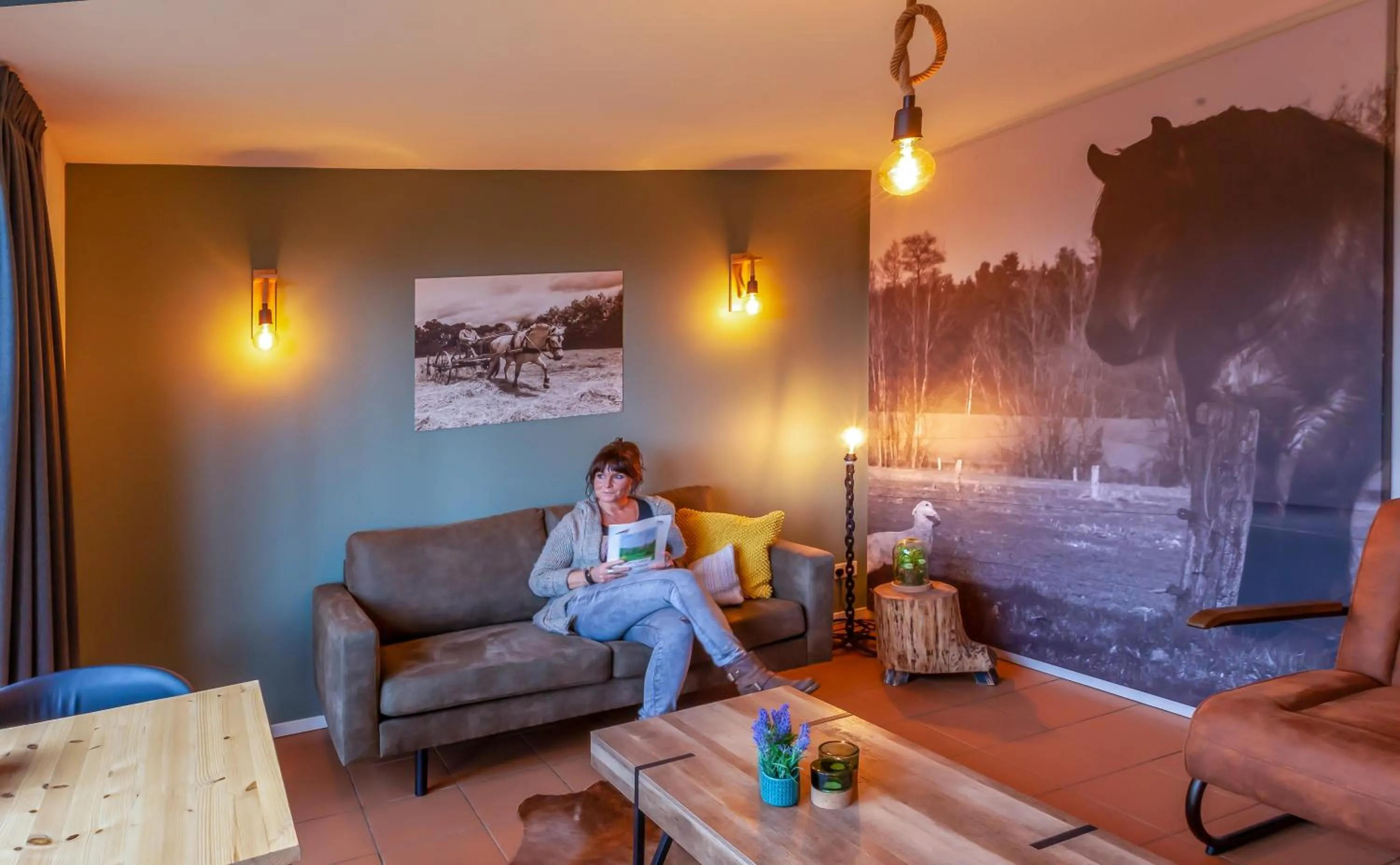 Apartment - Ground Floor in Hoeve Springendal