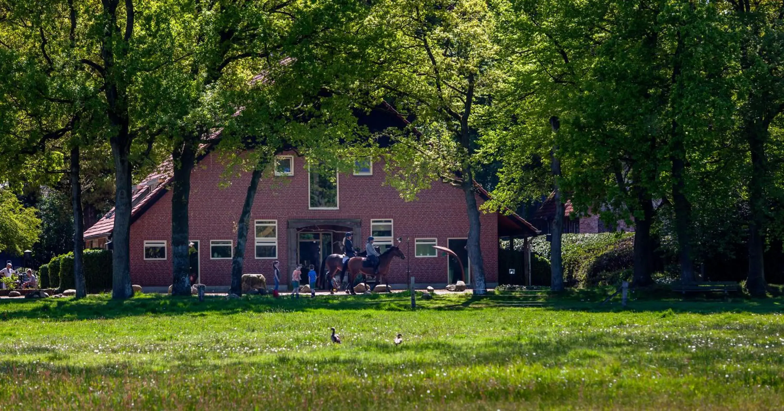 Hoeve Springendal Hoeve Springendal