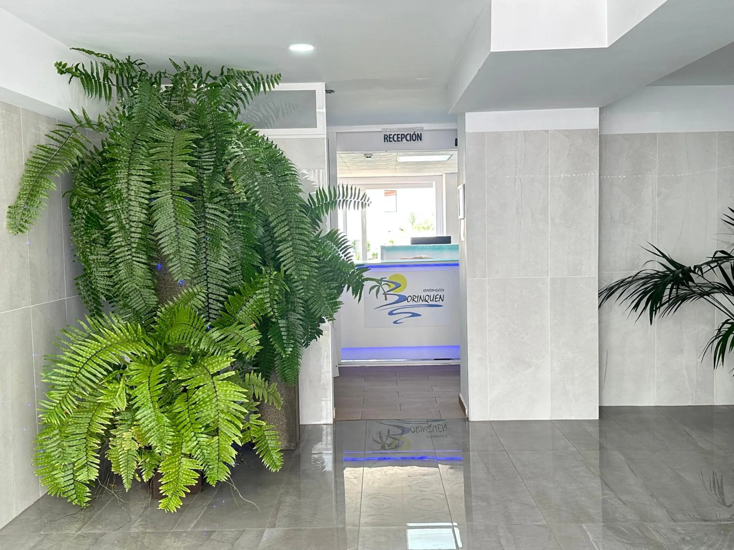 Lobby or reception in Apartamentos Borinquen