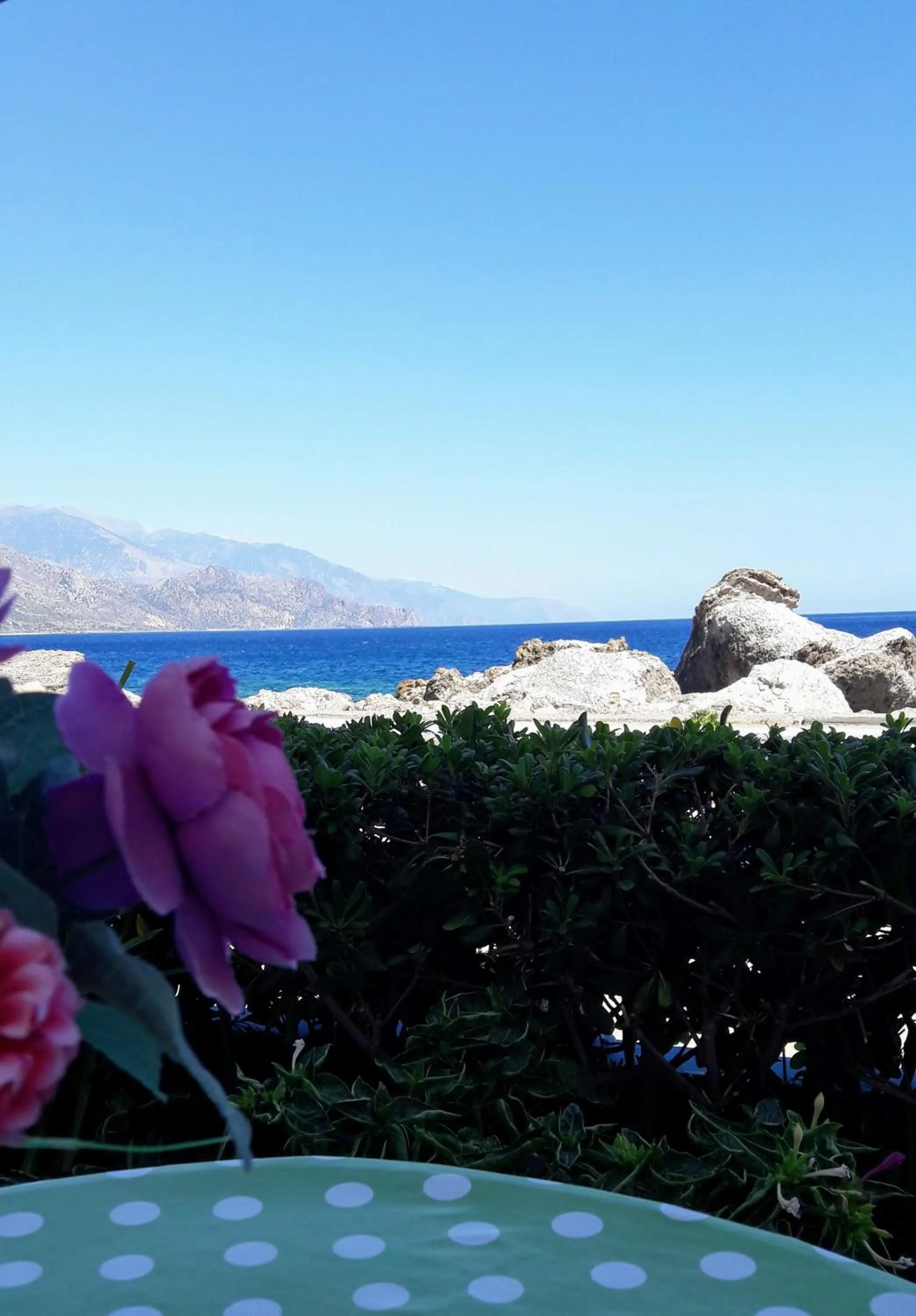 Mountain view in Haris Studios