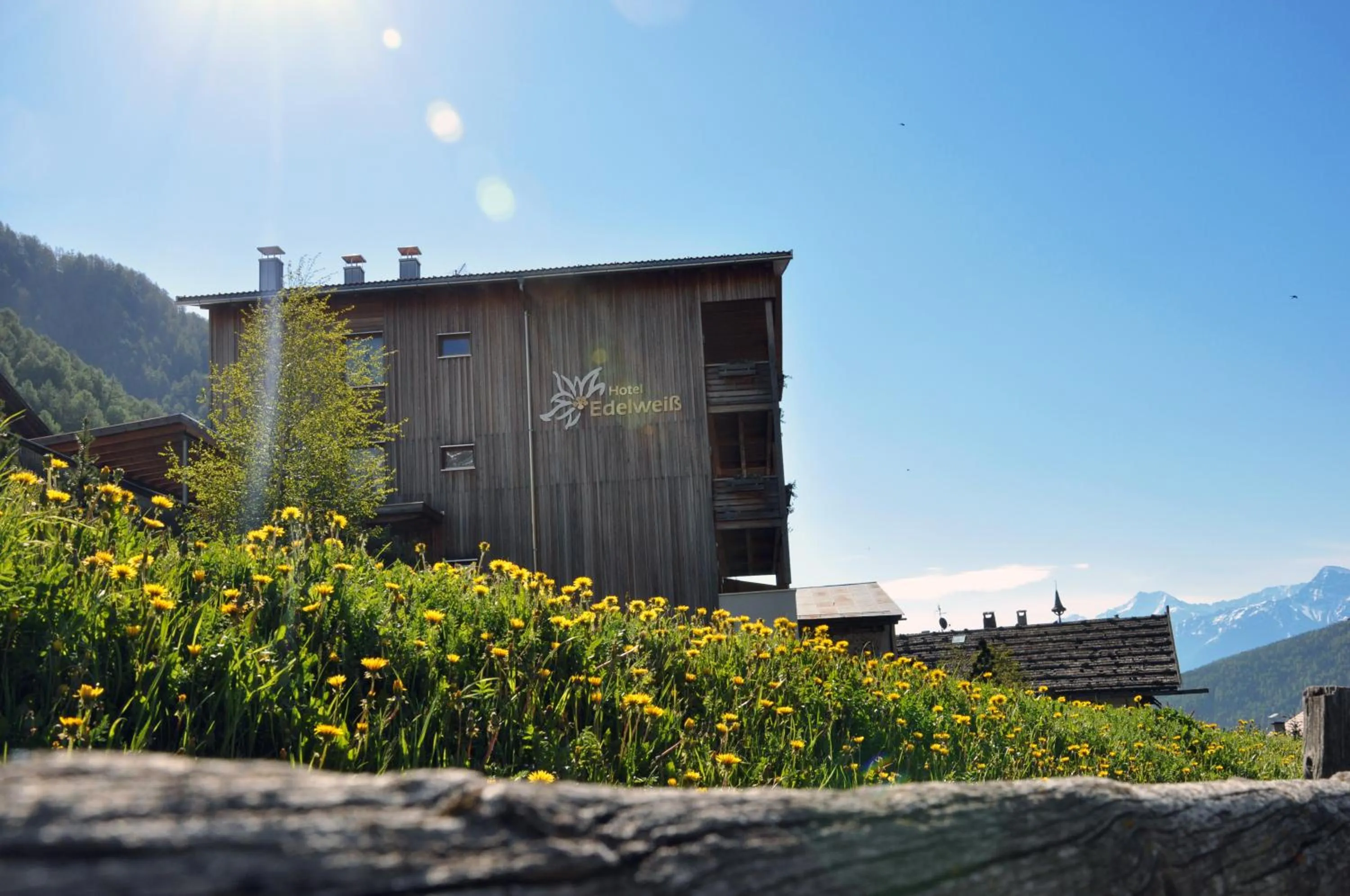 Balcony/Terrace in Hotel Edelweiss