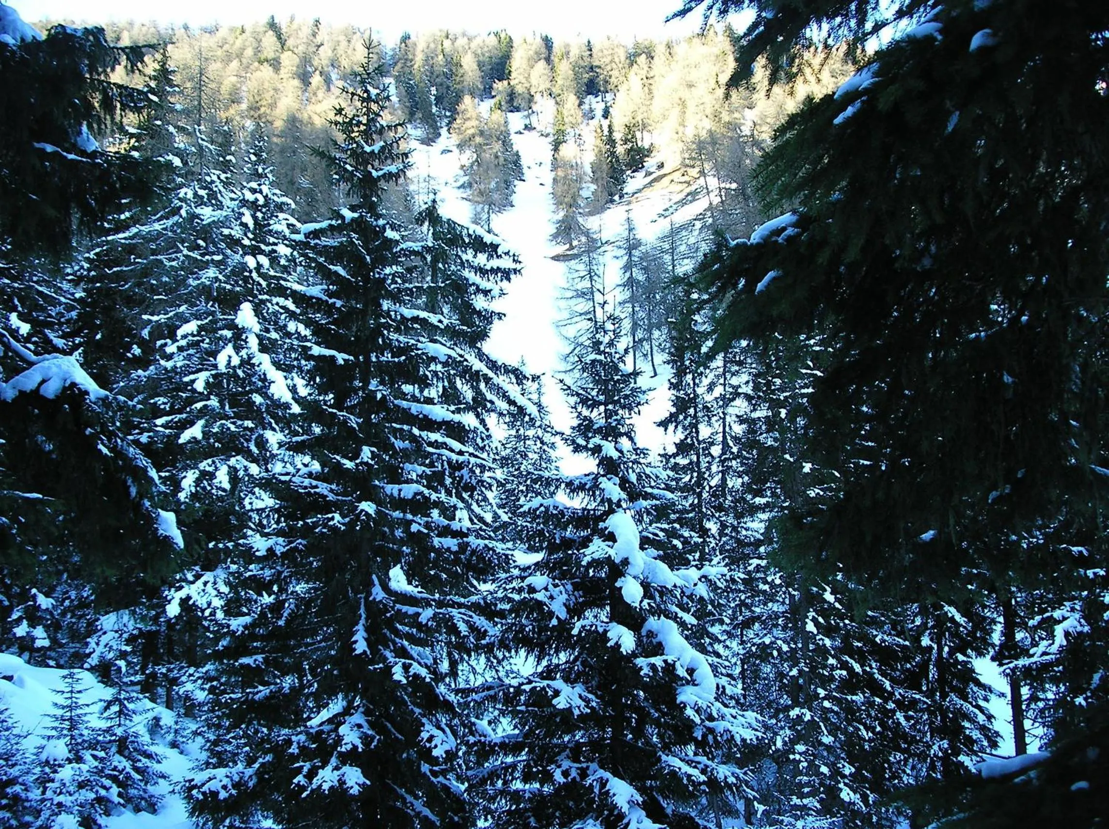 Winter in Hotel Edelweiss