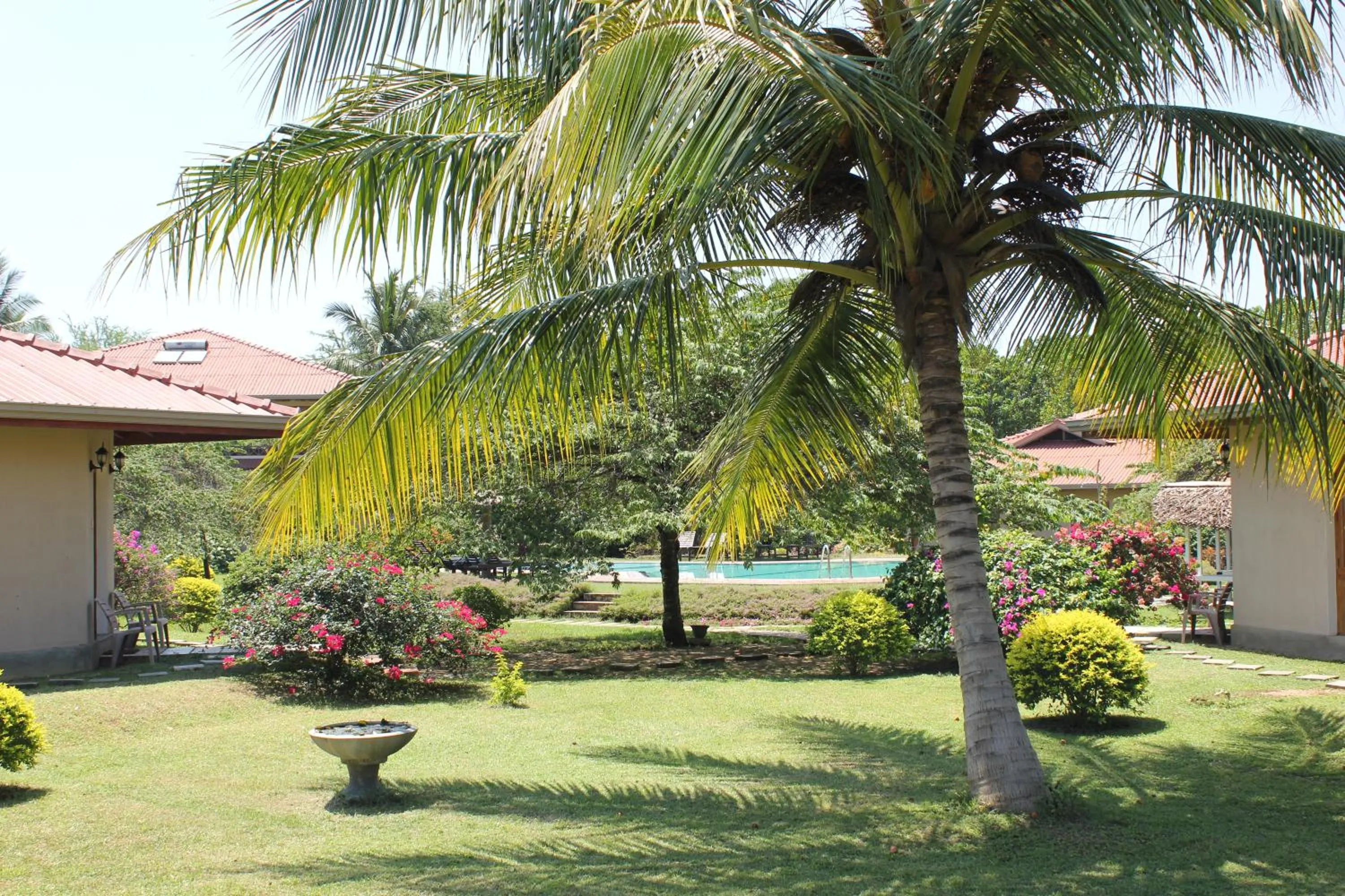 Garden view in Hibiscus Garden Hotel