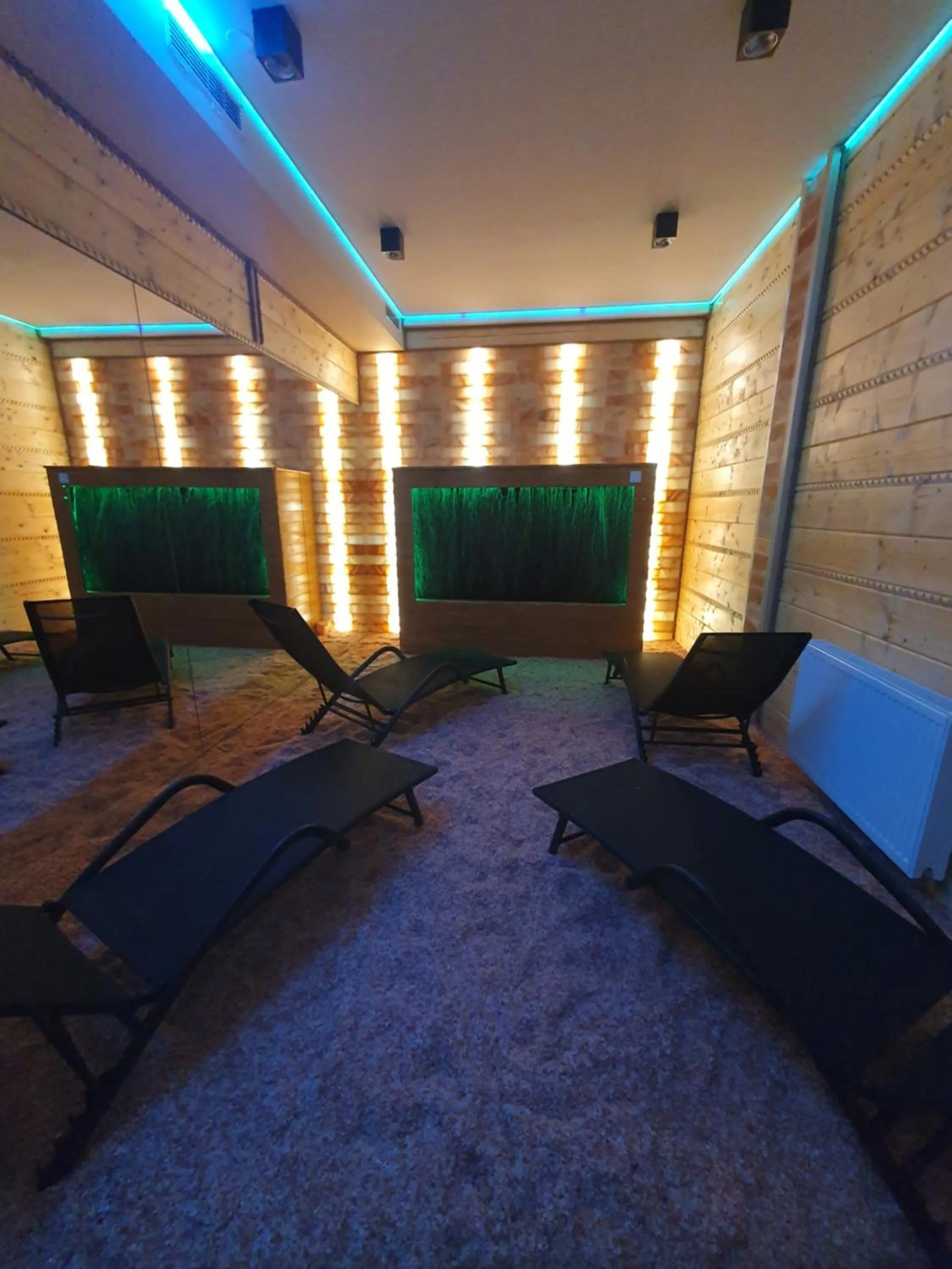 Spa and wellness centre/facilities in Bieszczadzka Ostoja