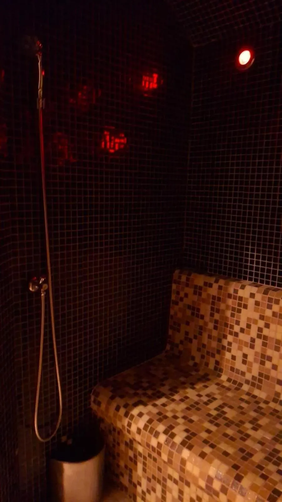 Steam room in Bieszczadzka Ostoja