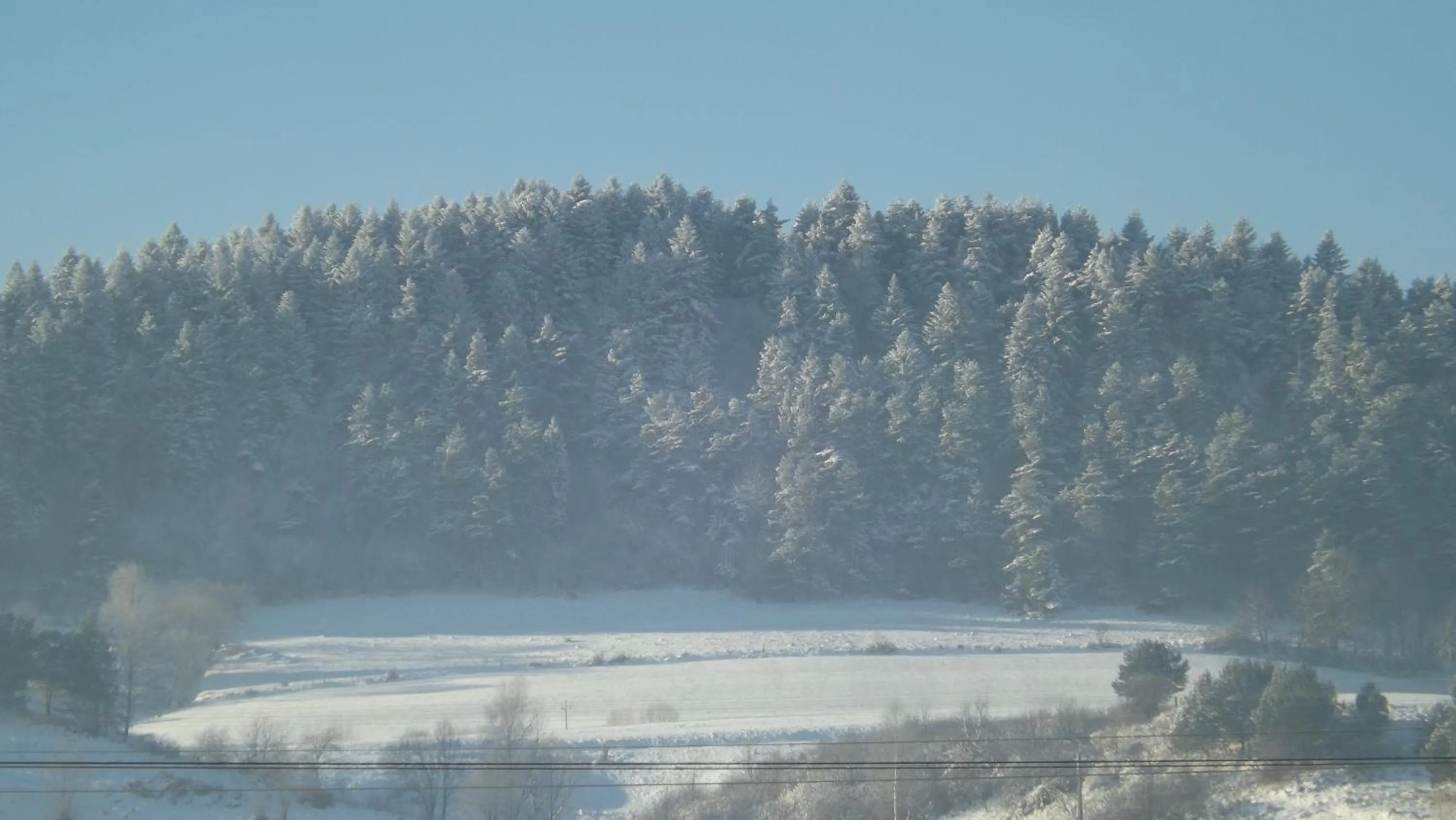 View (from property/room) in Zajazd Bieszczadzka Ostoja