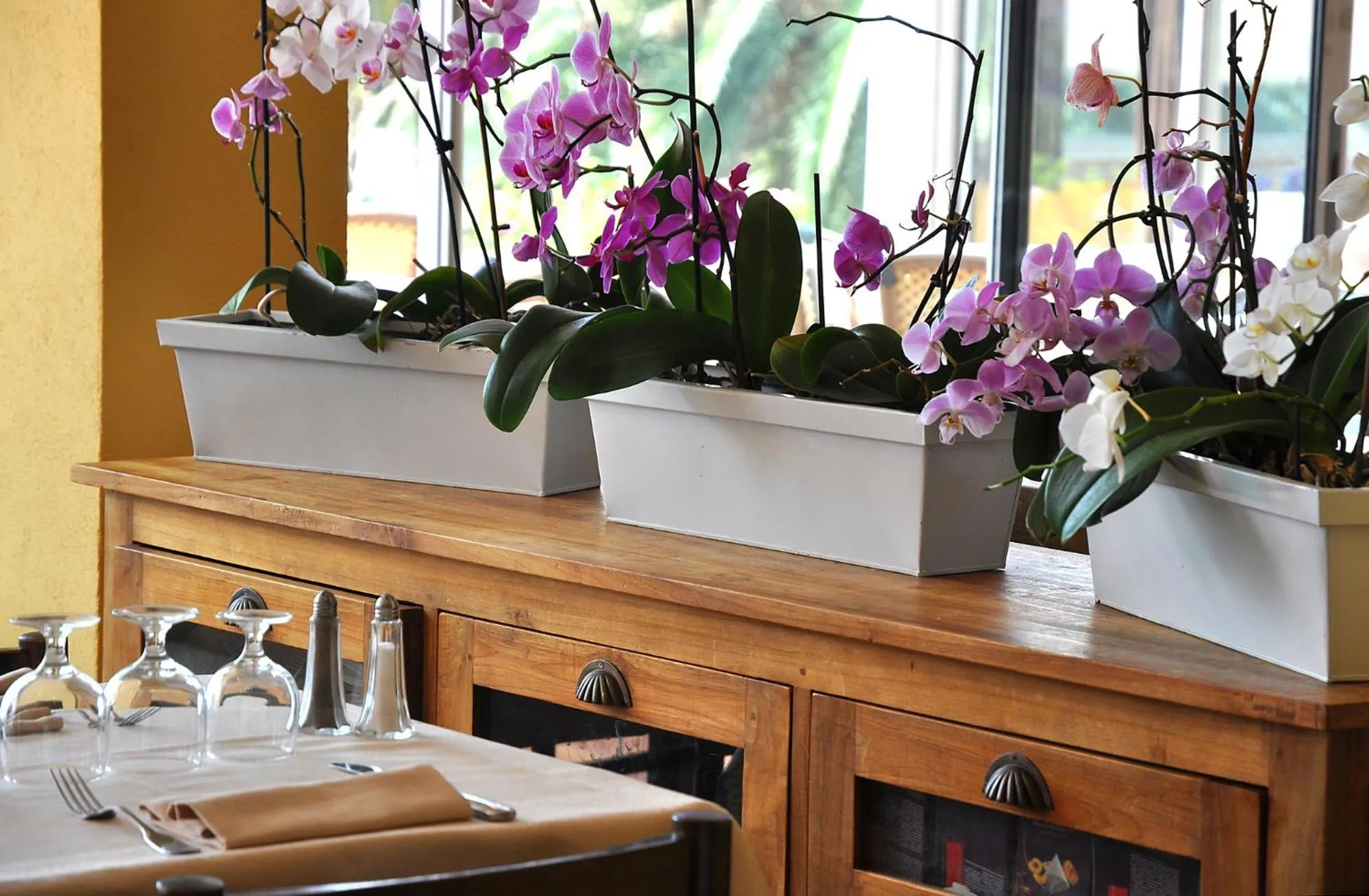 Restaurant/places to eat in Sun Beach