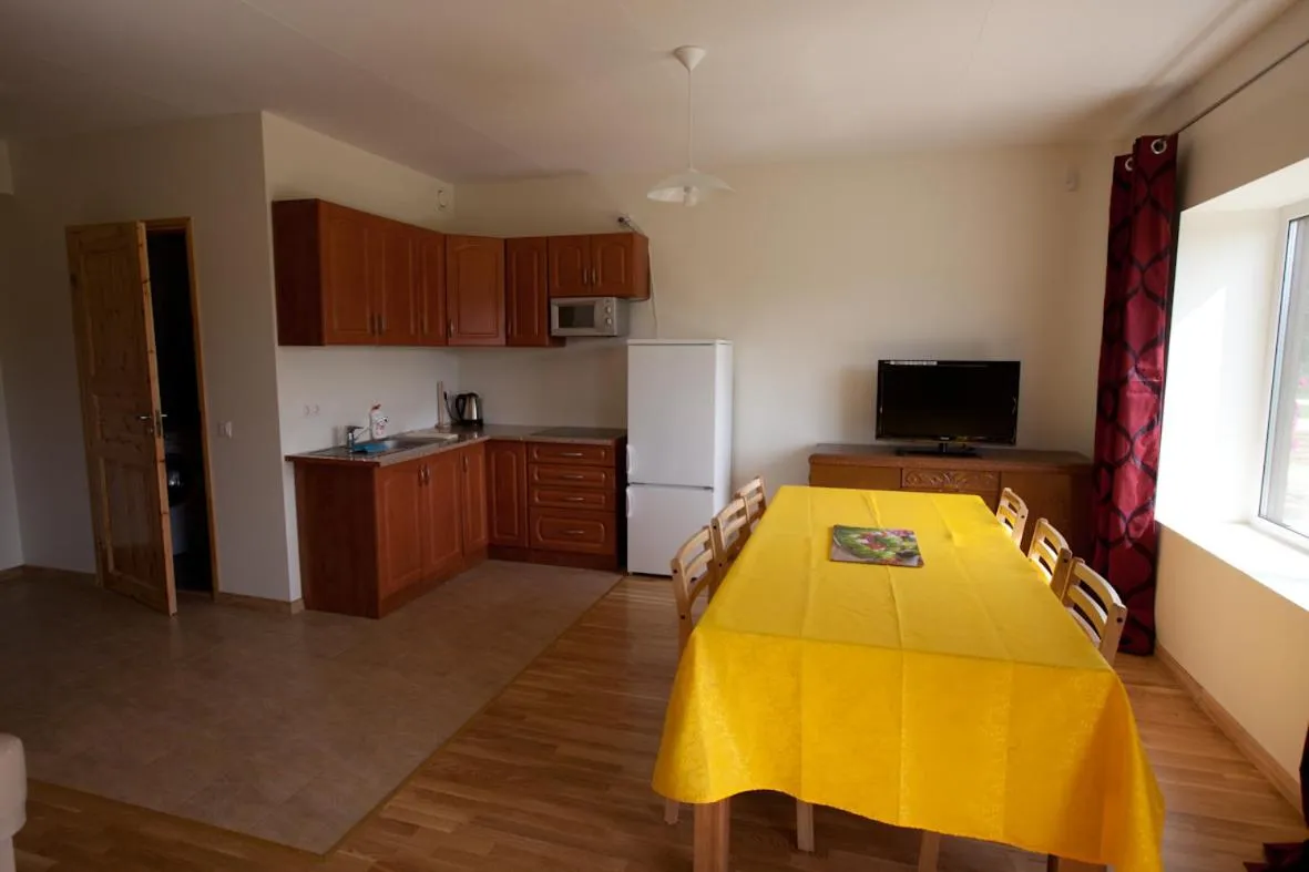 TV and multimedia in Love Island 2