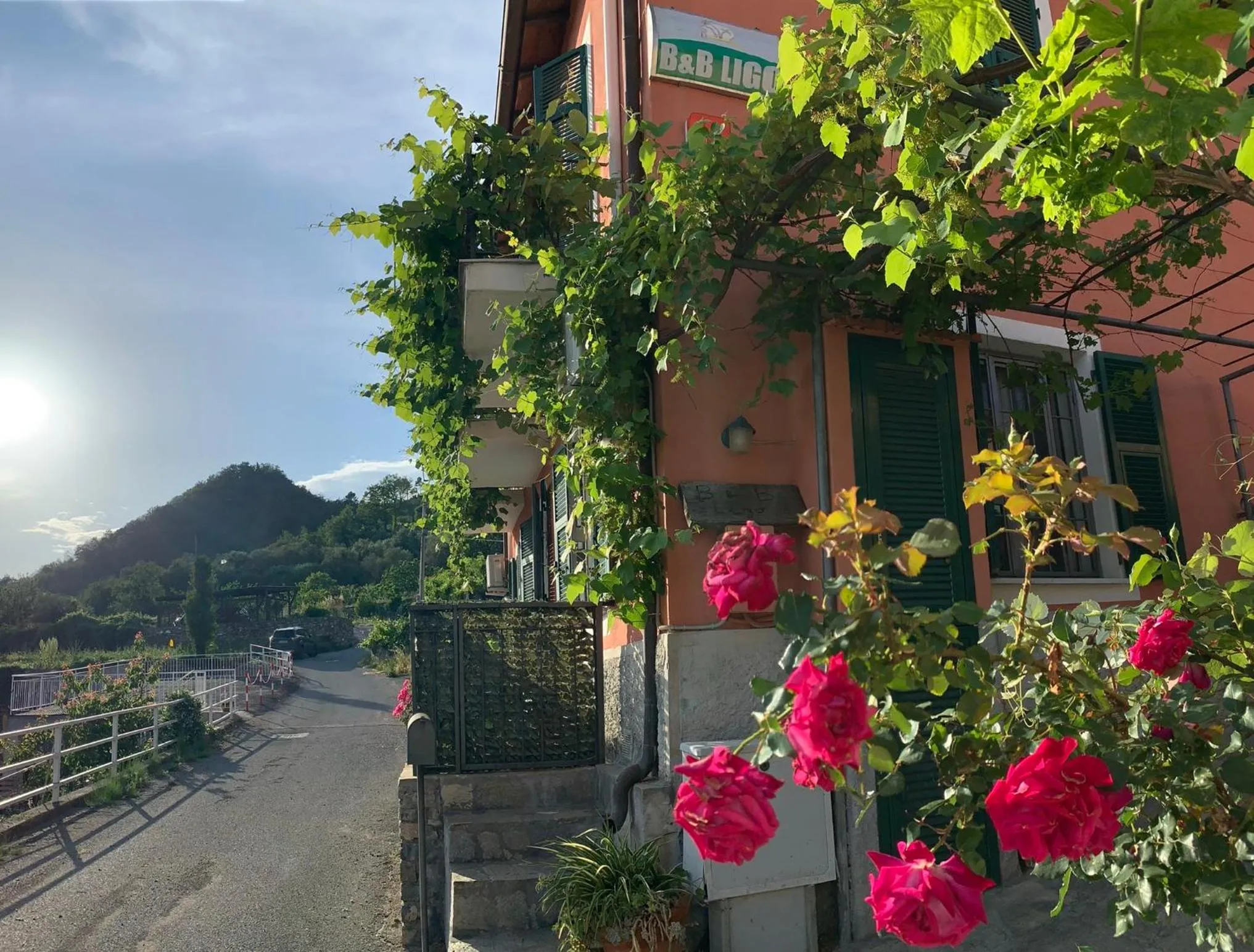 Property building in Ligo