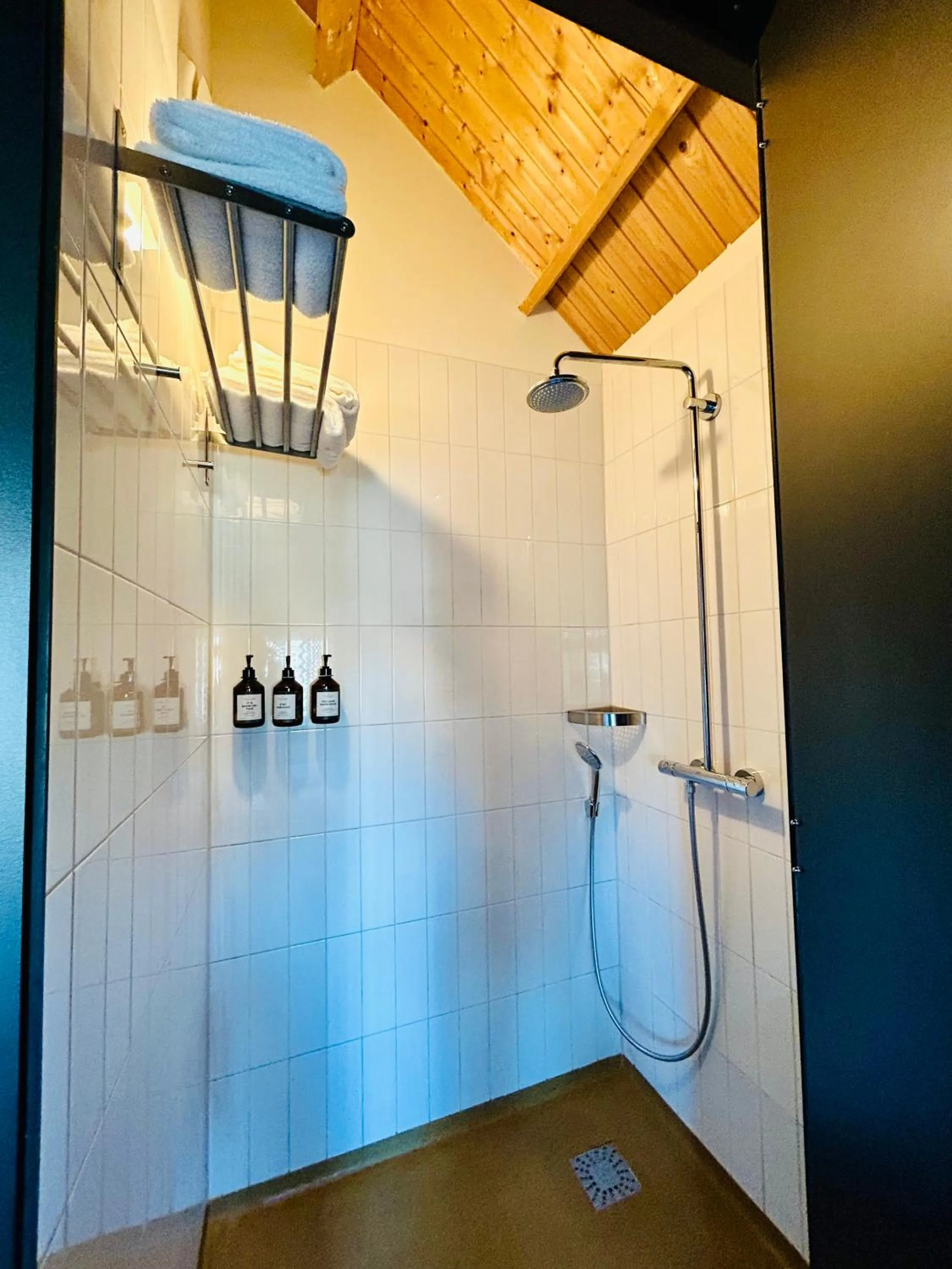 Shower in Design Hotel Modez