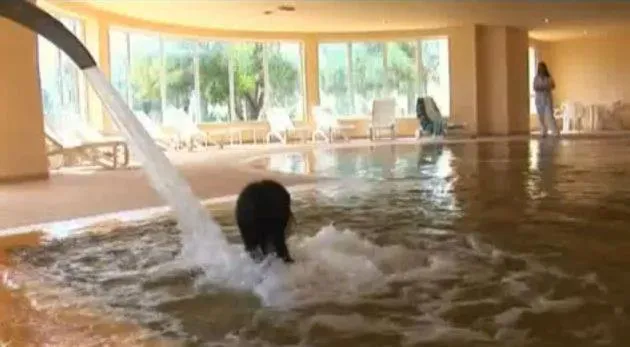 Spa and wellness centre/facilities in Zephir Hôtel & Spa