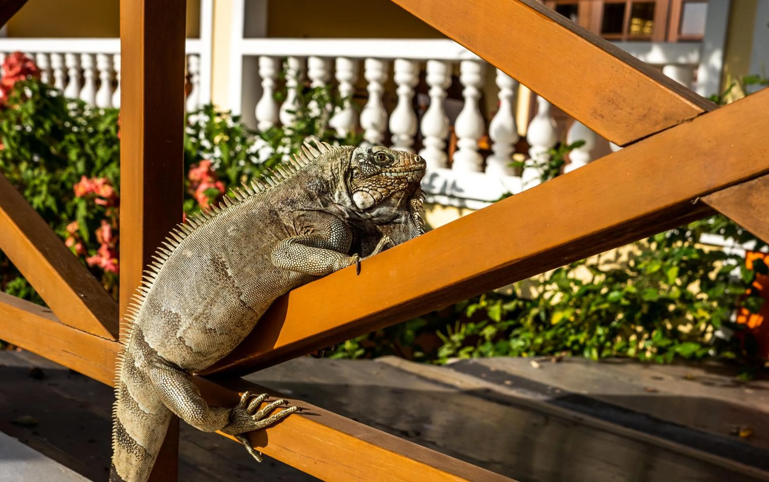 Day in Hotel Villa Terra Viva