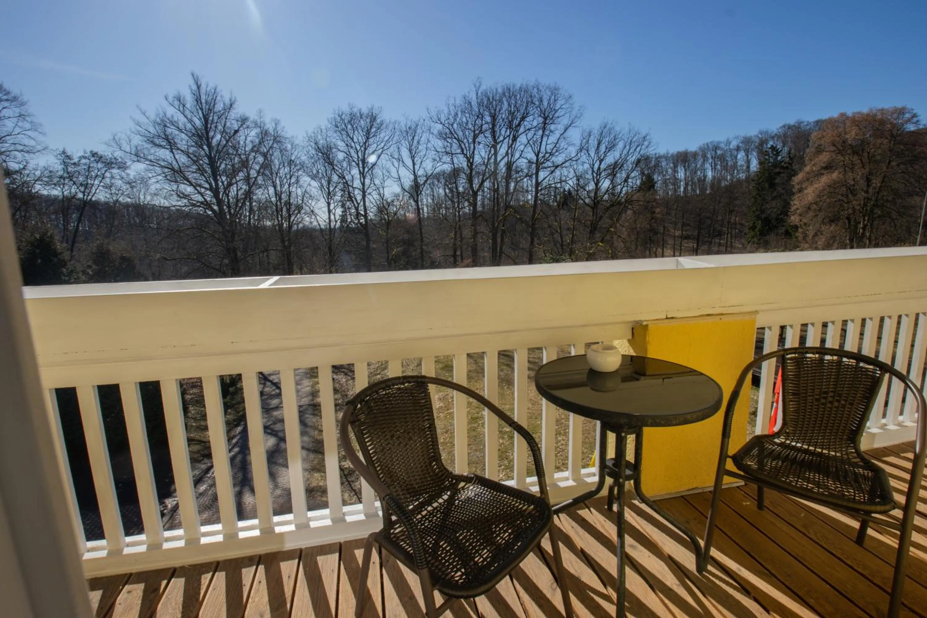 Photo of the whole room in Ferien Hotel Villa Südharz