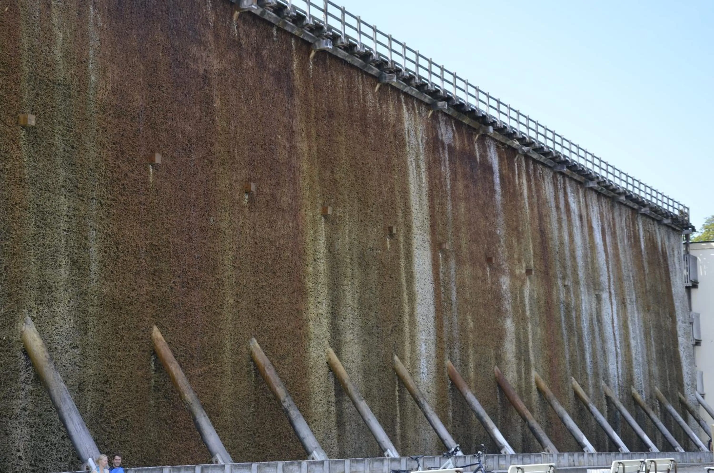 Nearby landmark in Hotel Dreyer Garni