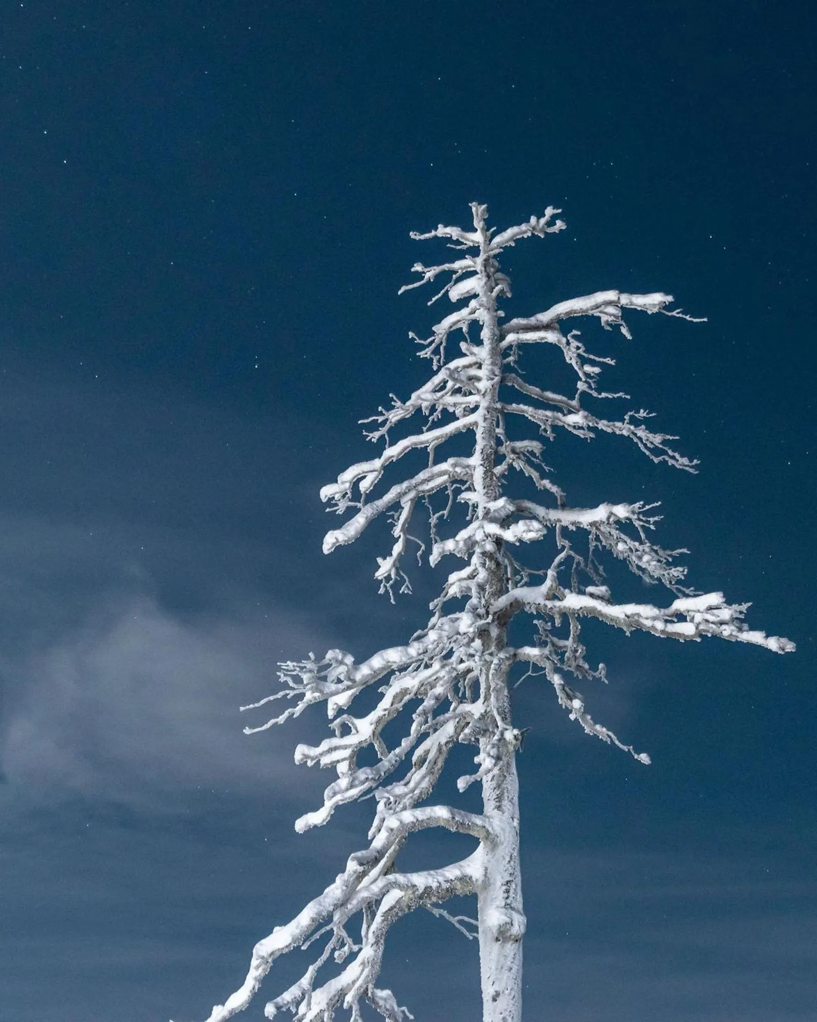 Natural landscape in Napapiirin Järvilomat