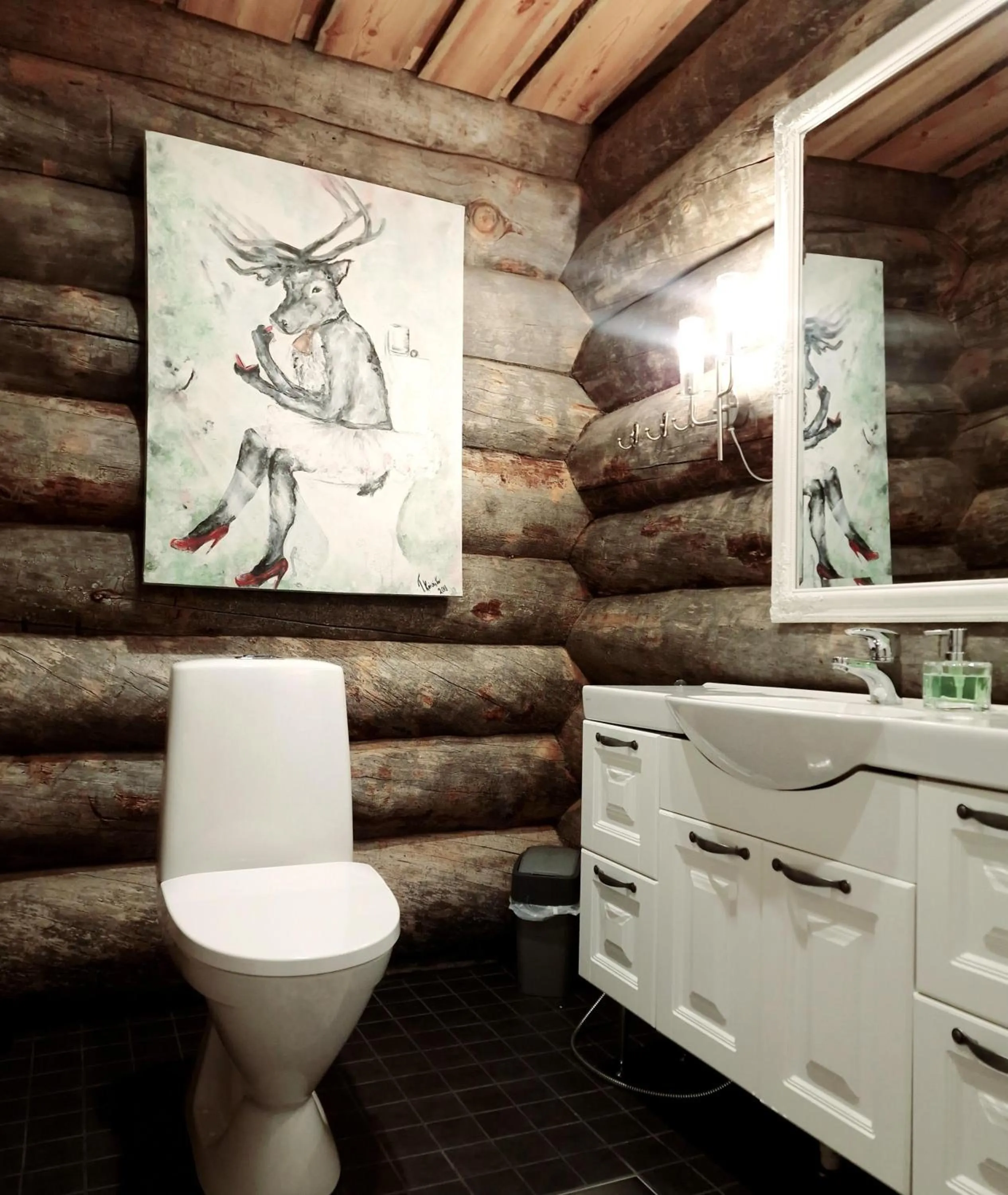 Toilet in Napapiirin Järvilomat