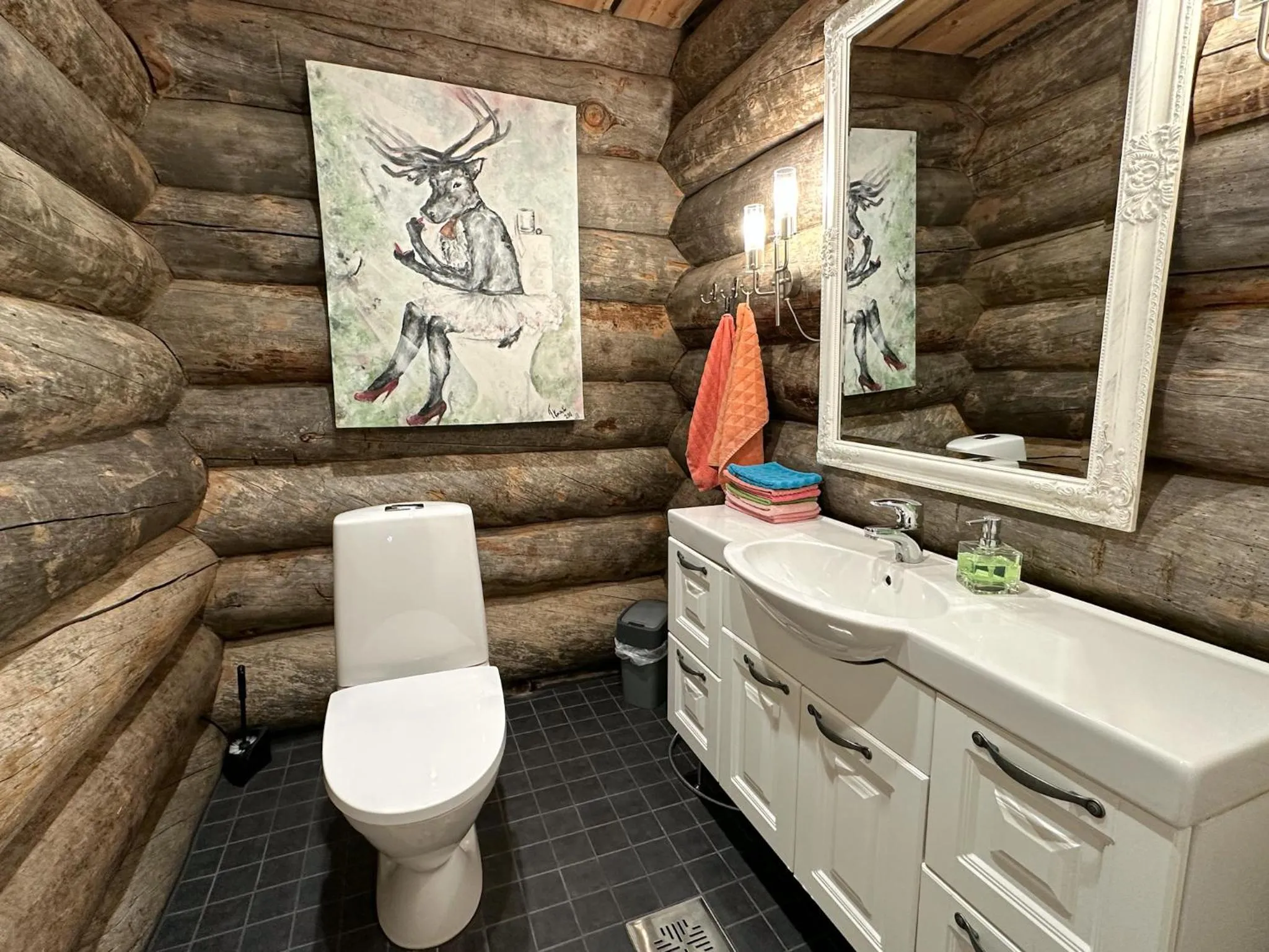 Toilet in Napapiirin Järvilomat