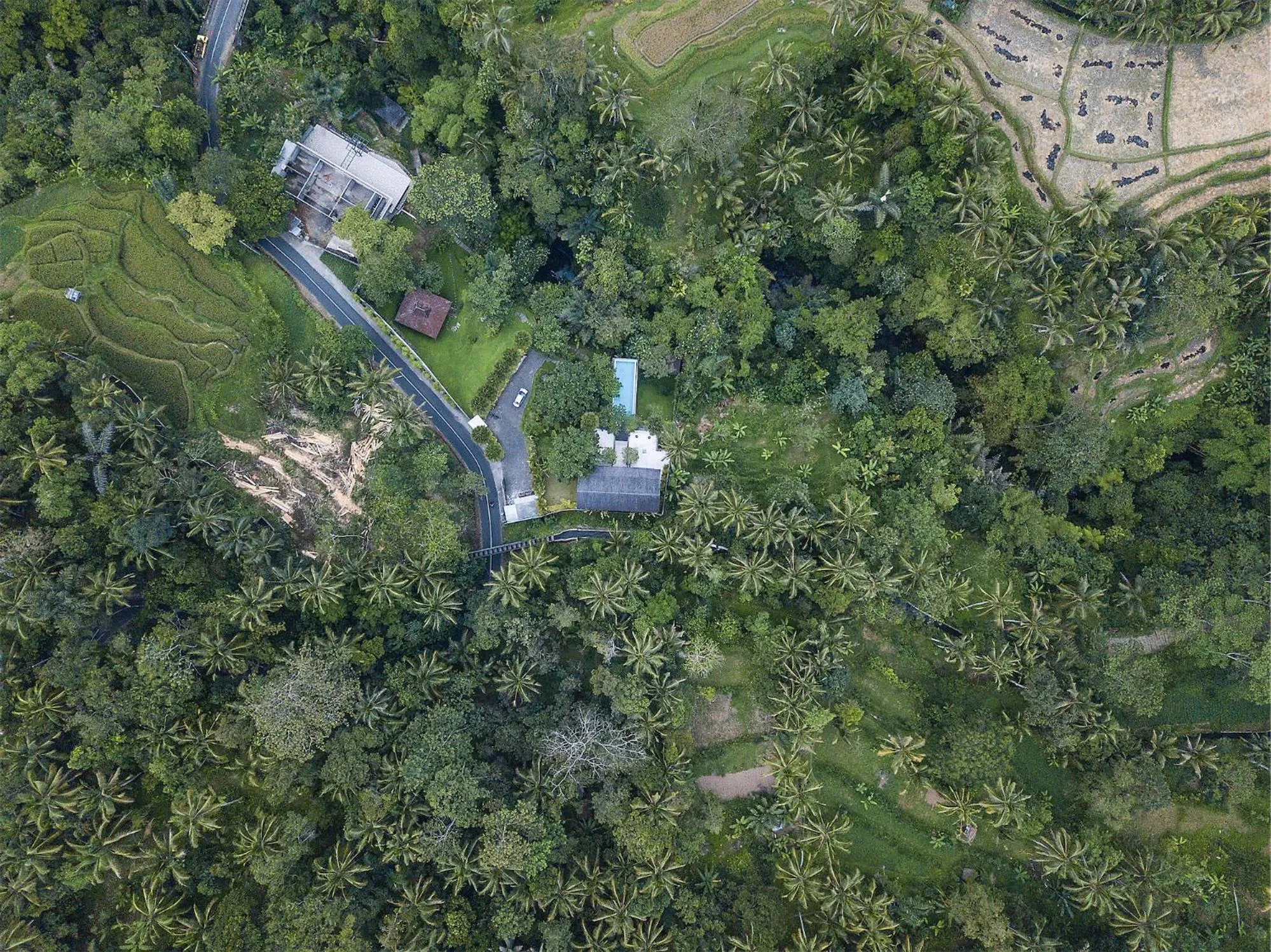 Natural landscape in Sandhya Villa Ubud