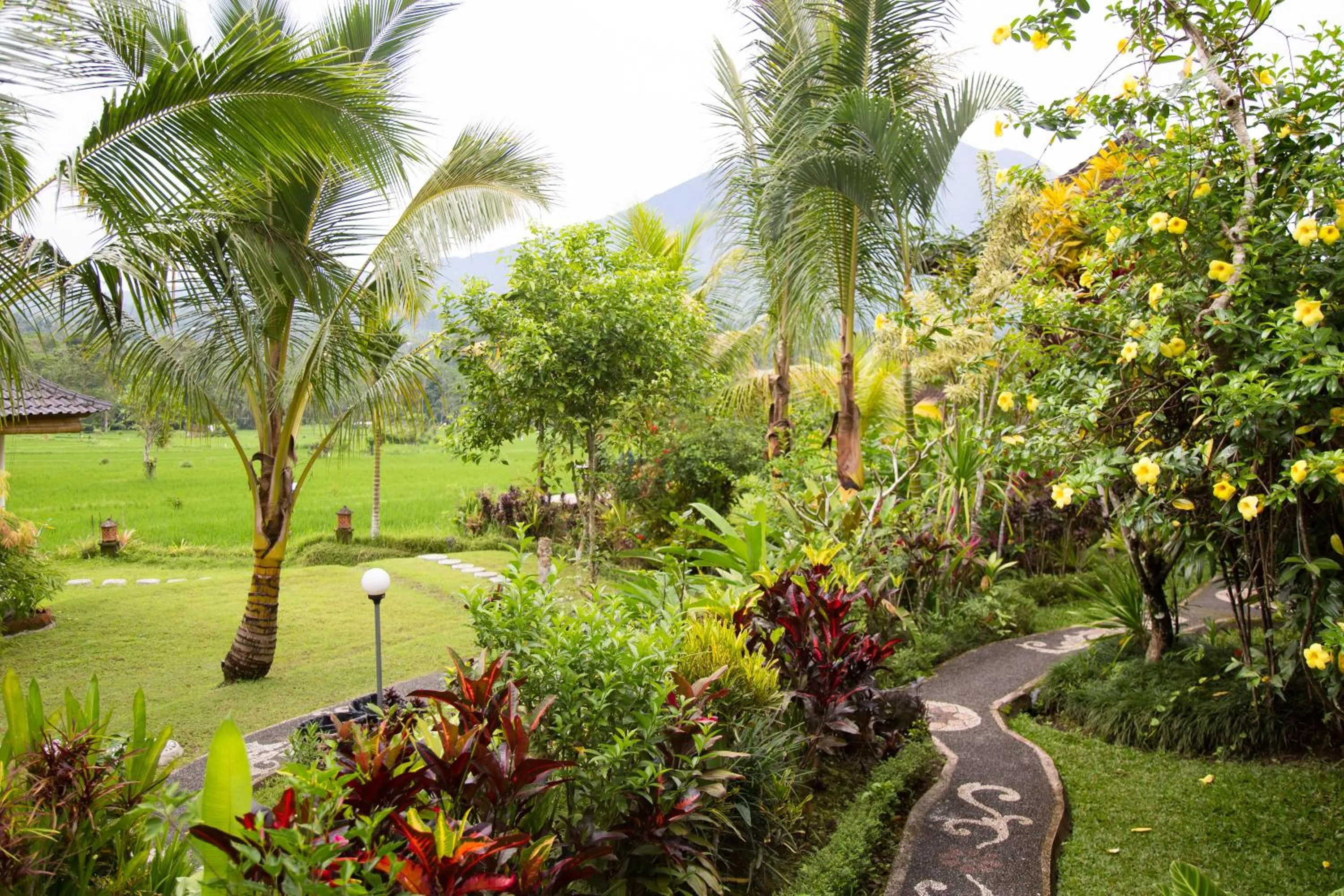 Garden in Great Mountain Views Villa Resort