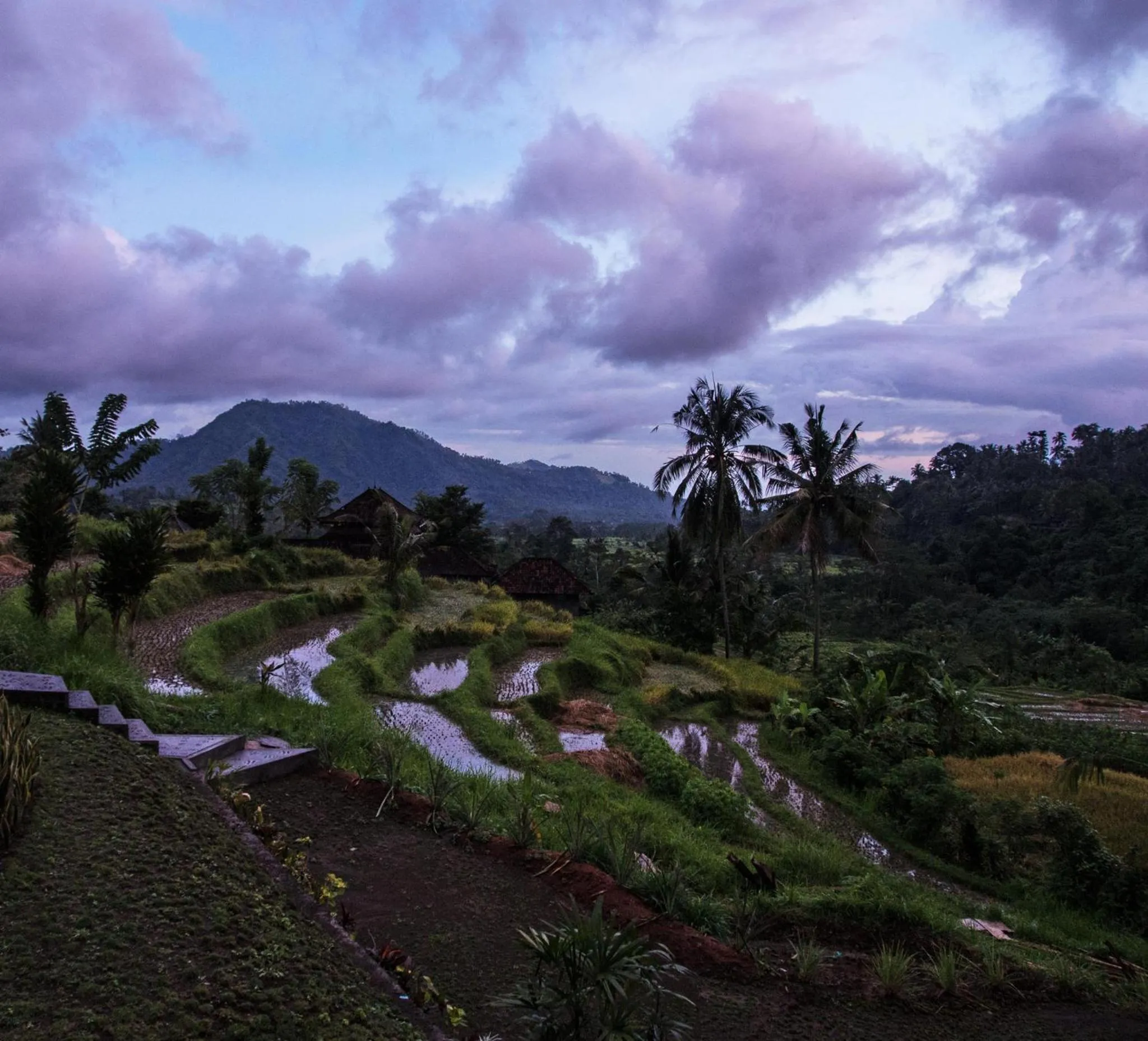 Other in Arta Nadi Villa