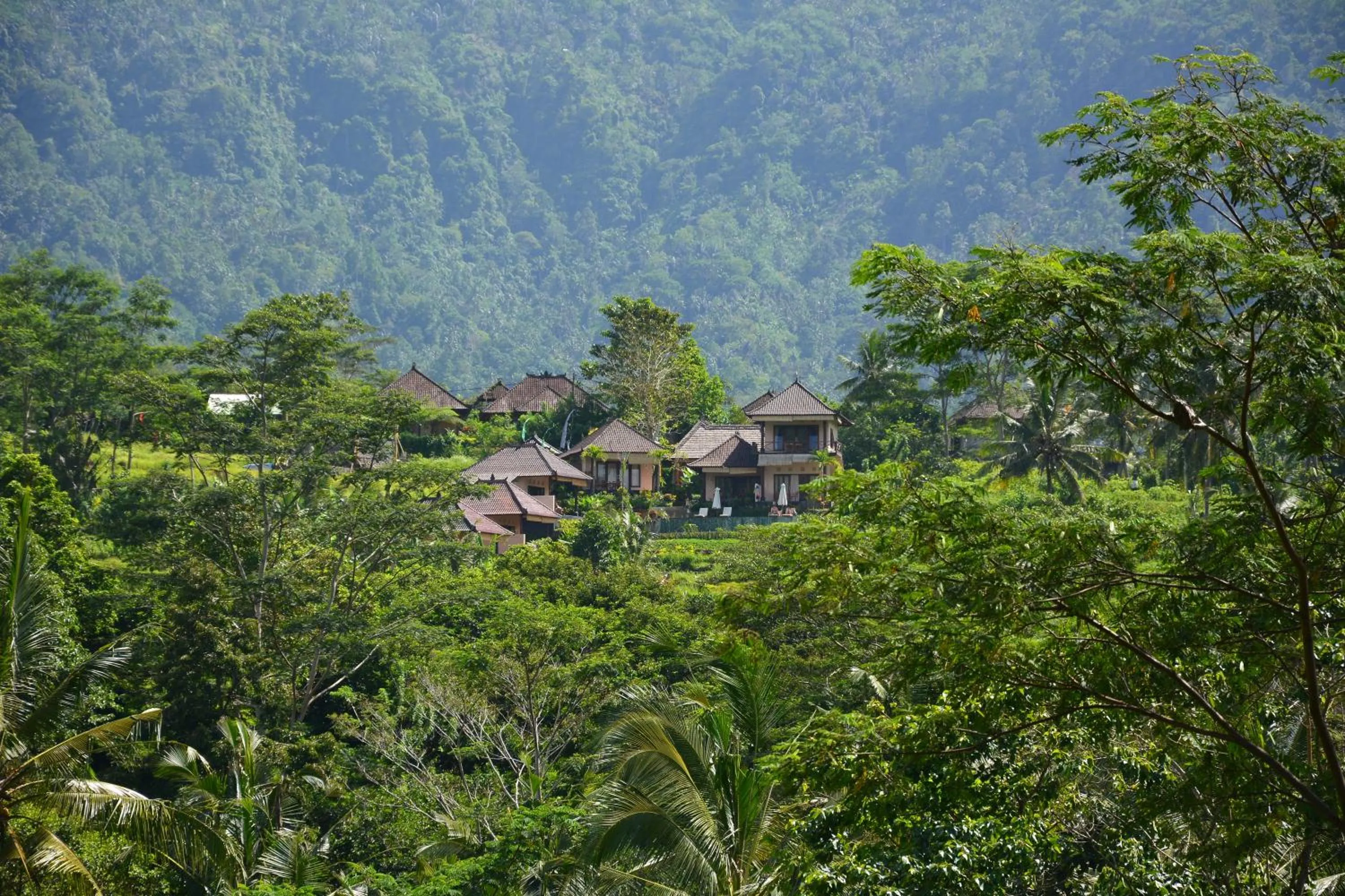 Other in Arta Nadi Villa