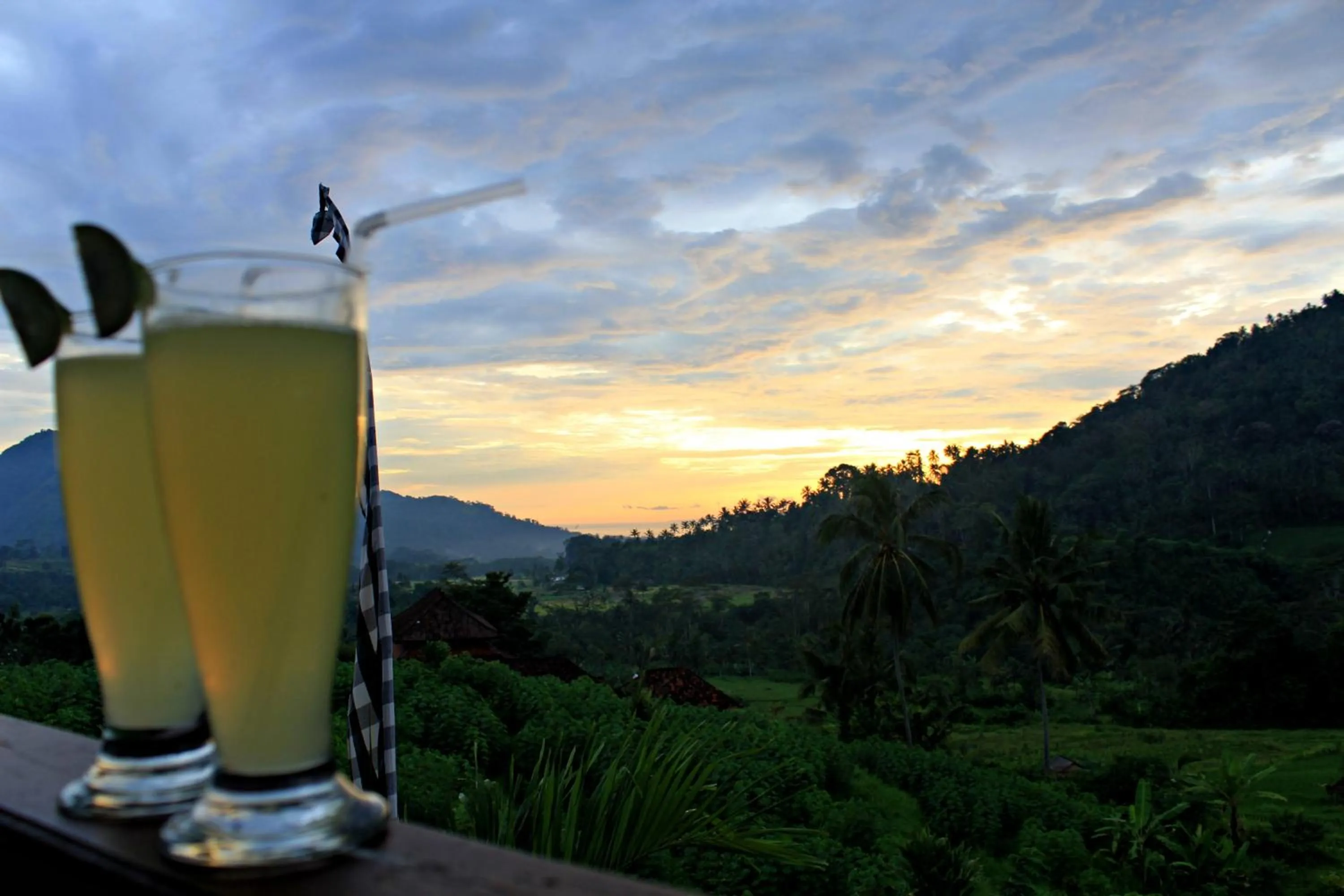 View (from property/room) in Arta Nadi Villa