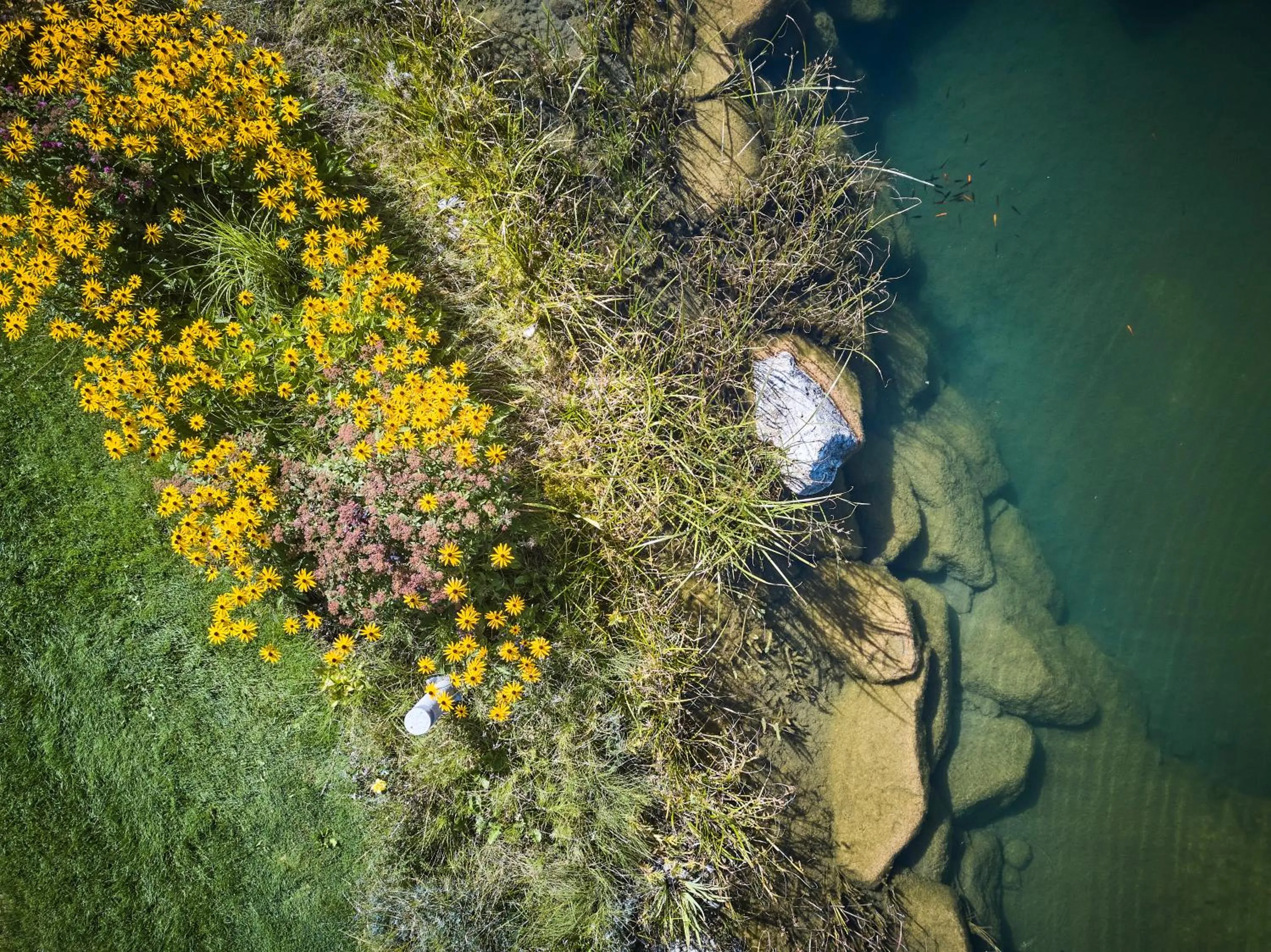 Garden in Hotel Römerhof