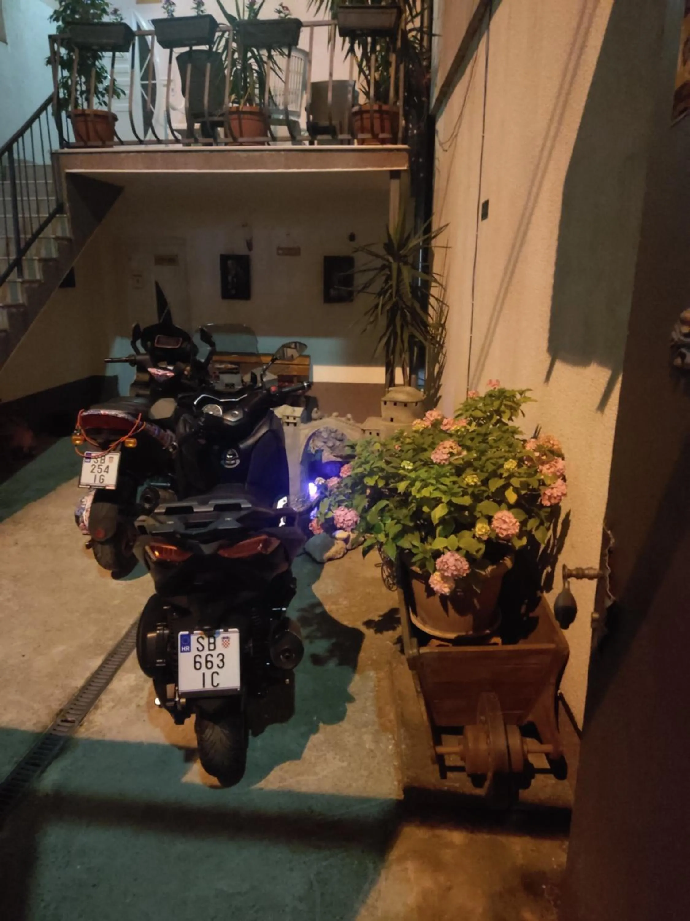 Apartments Ajla