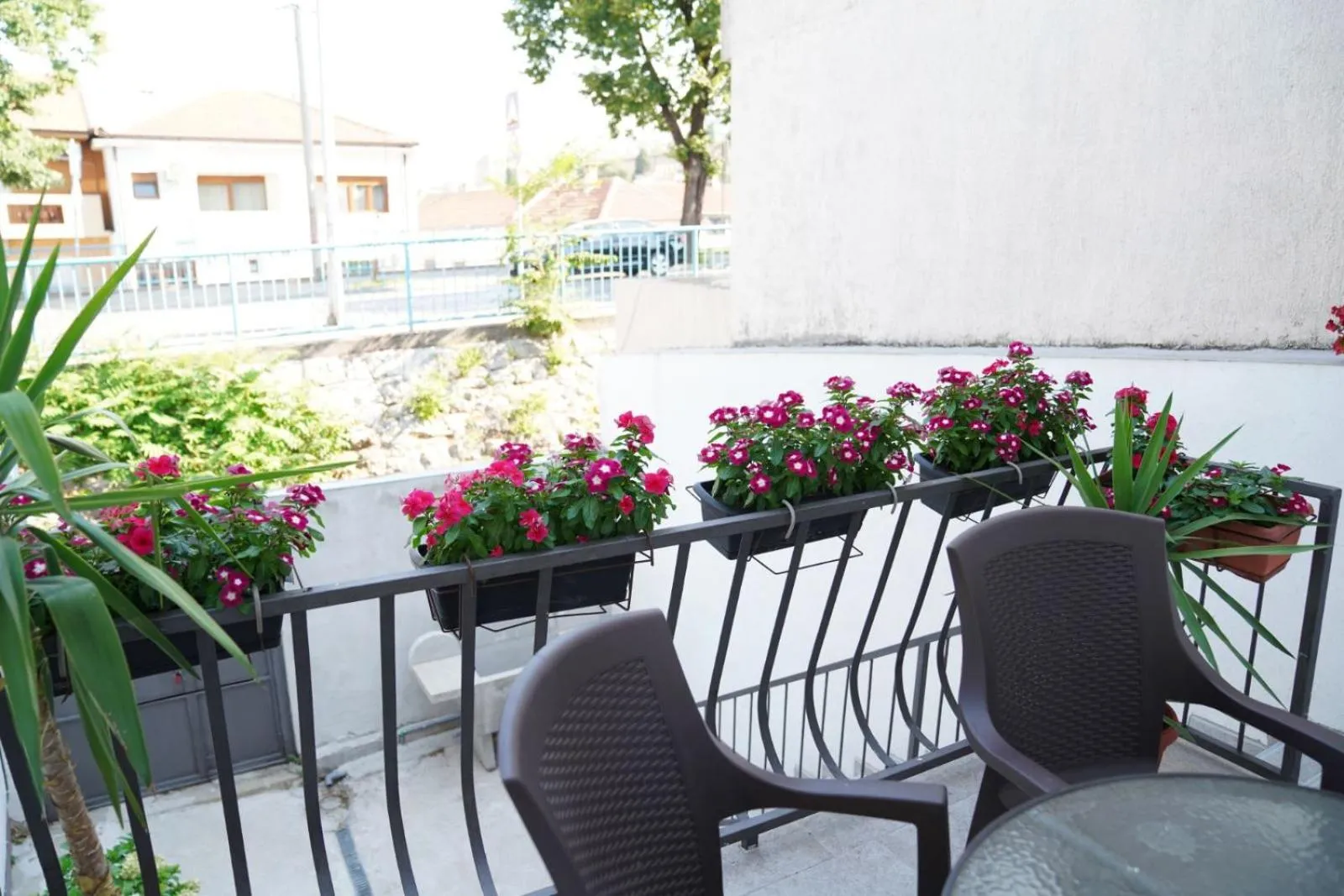 Apartments Ajla
