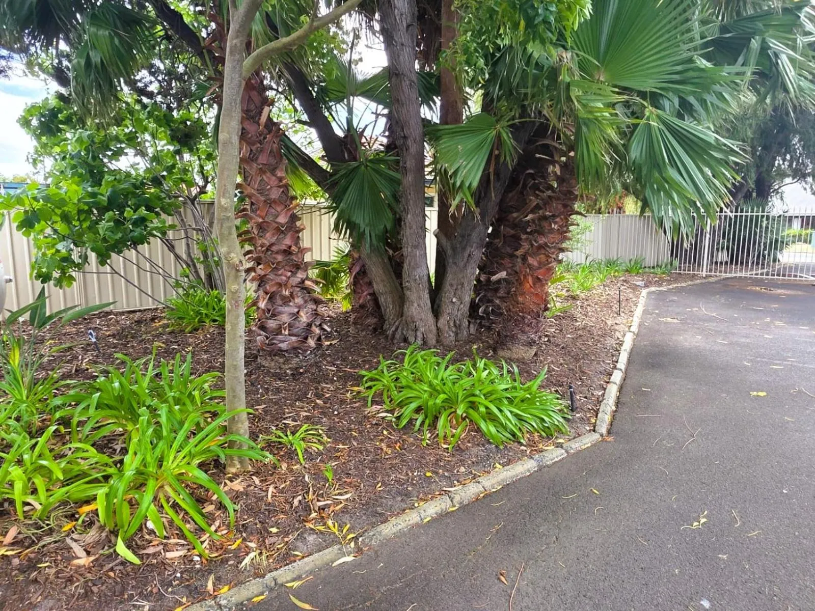 Garden in Busselton Motel