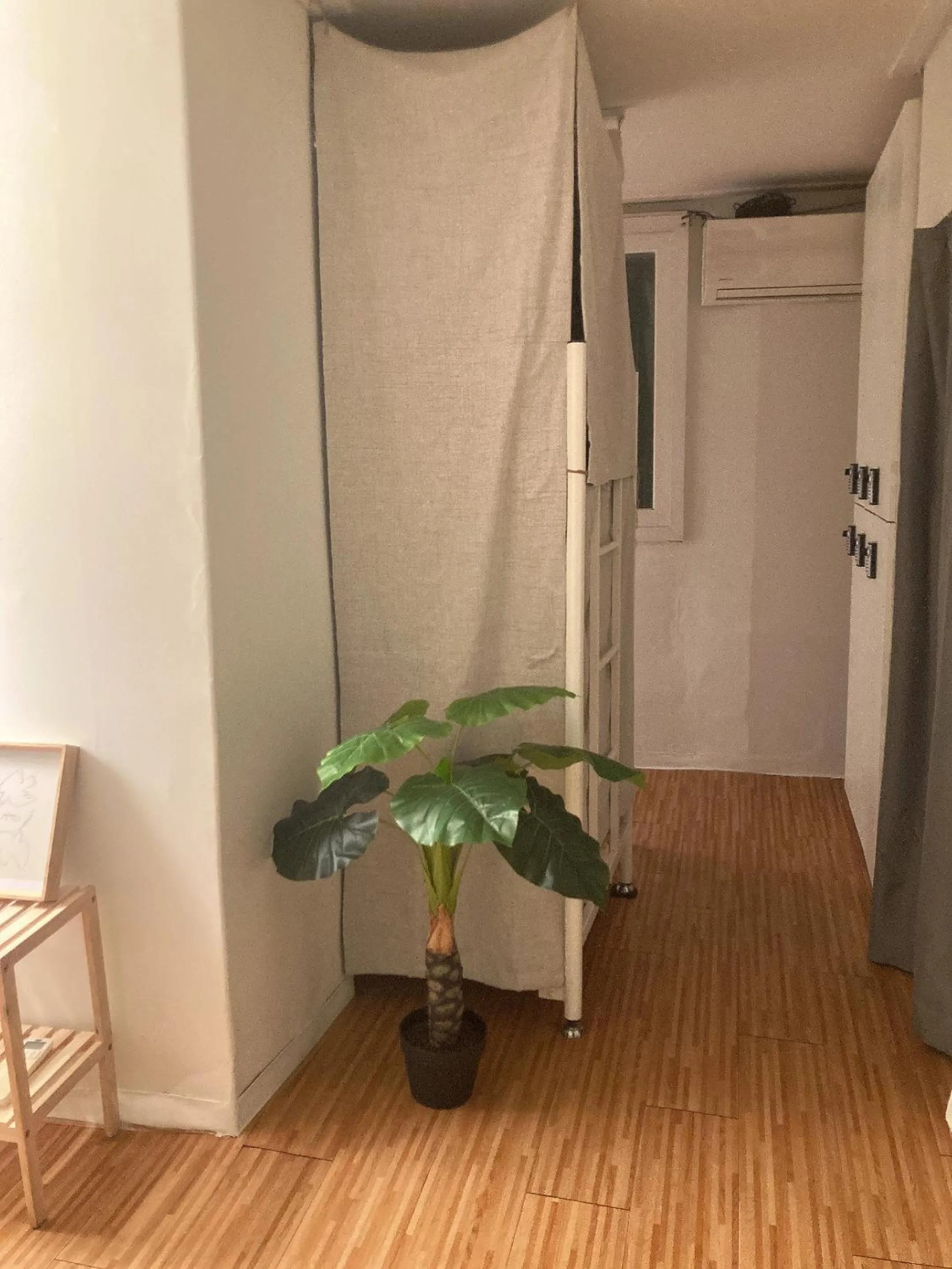 Photo of the whole room in Yakorea Hostel Dongdaemun